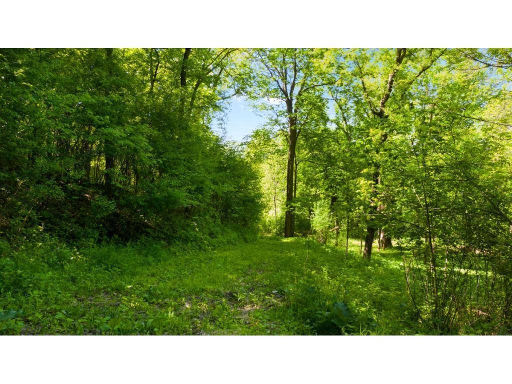 12991 Point Douglas DR S, Hastings, MN 55033