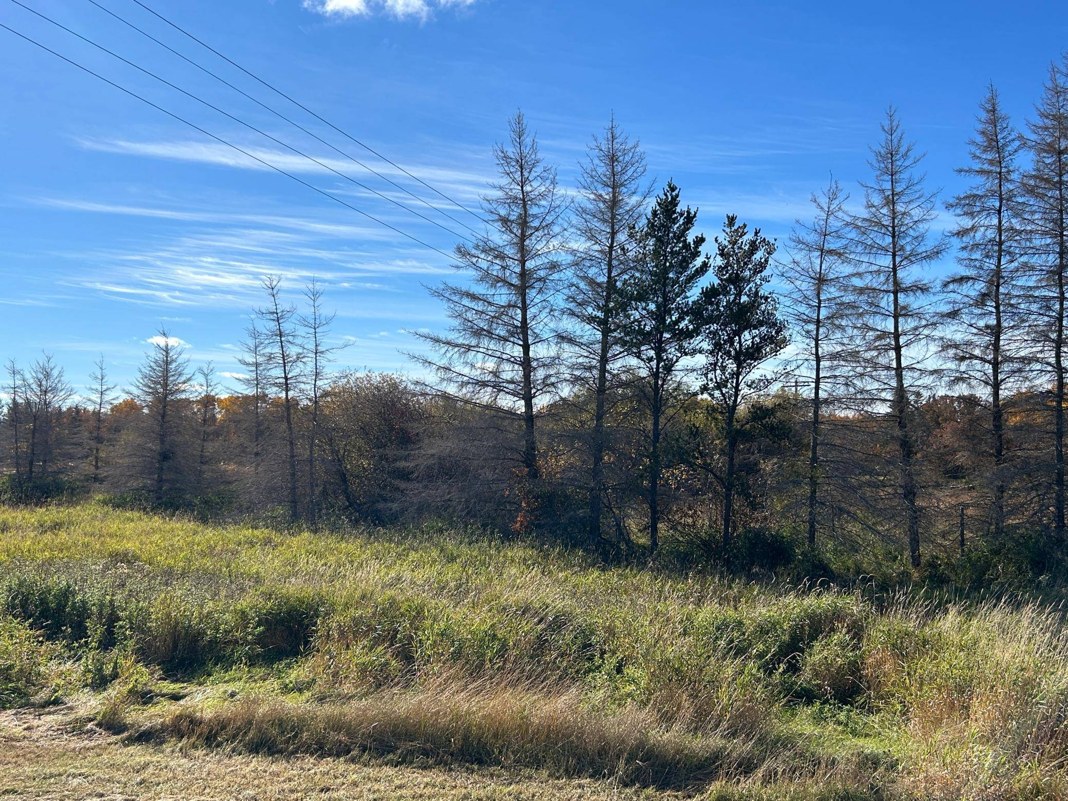 000 Riverbend DR, Warroad, MN 56763