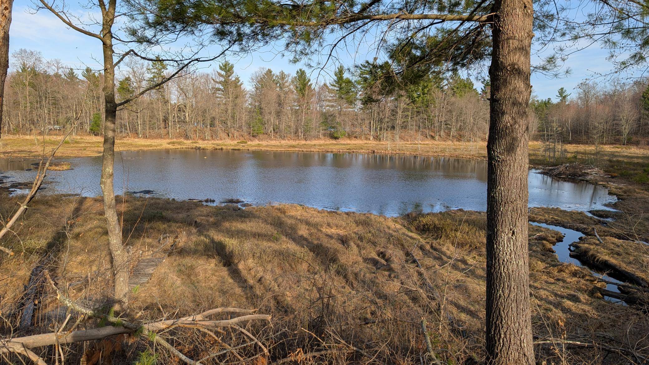 29228 Honkers Hollow, Danbury, WI 54830