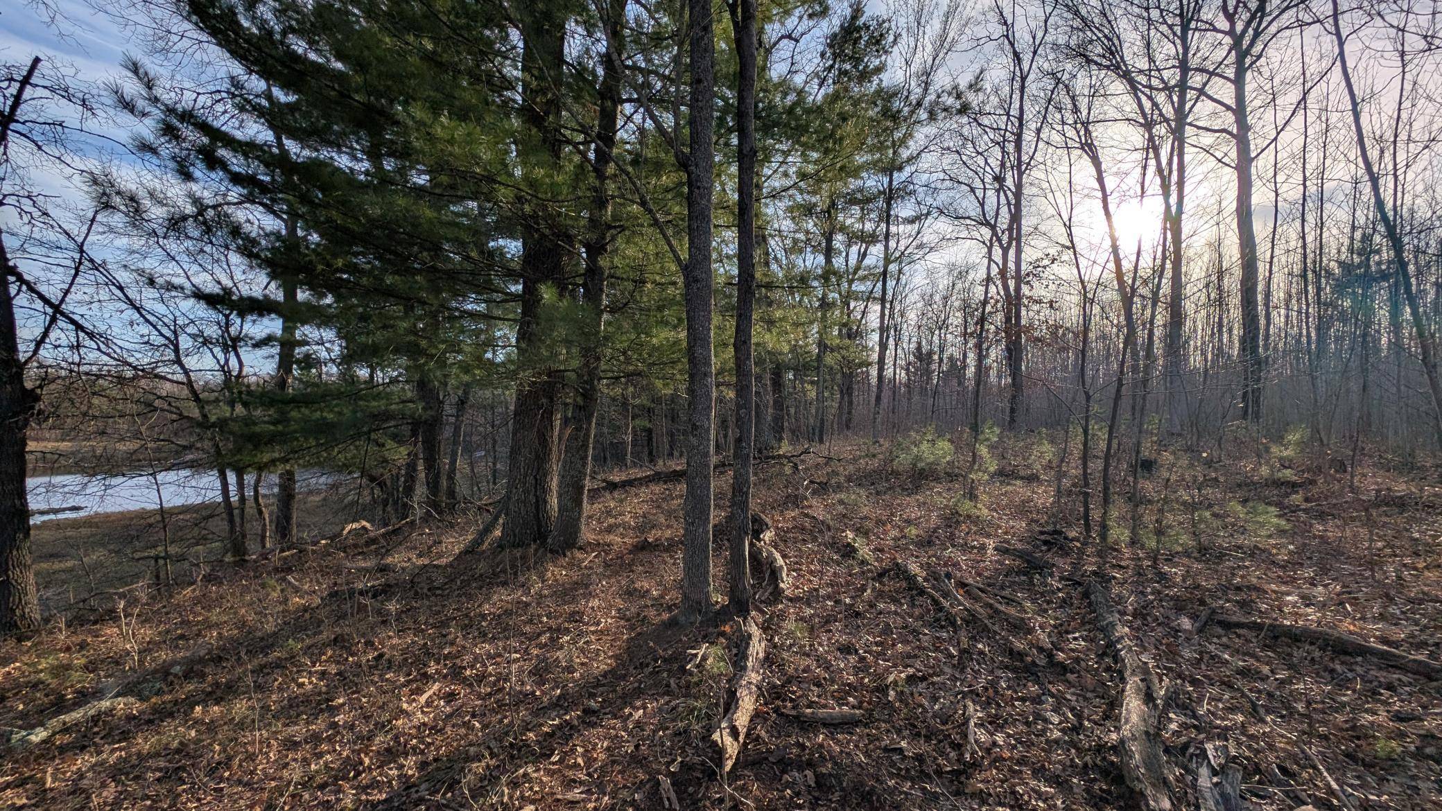 TBD Honkers Hollow, Danbury, WI 54830