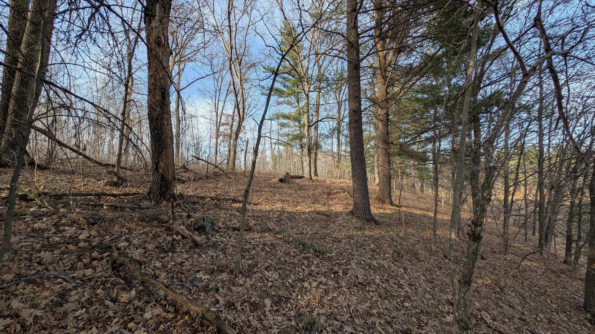 TBD Honkers Hollow, Danbury, WI 54830