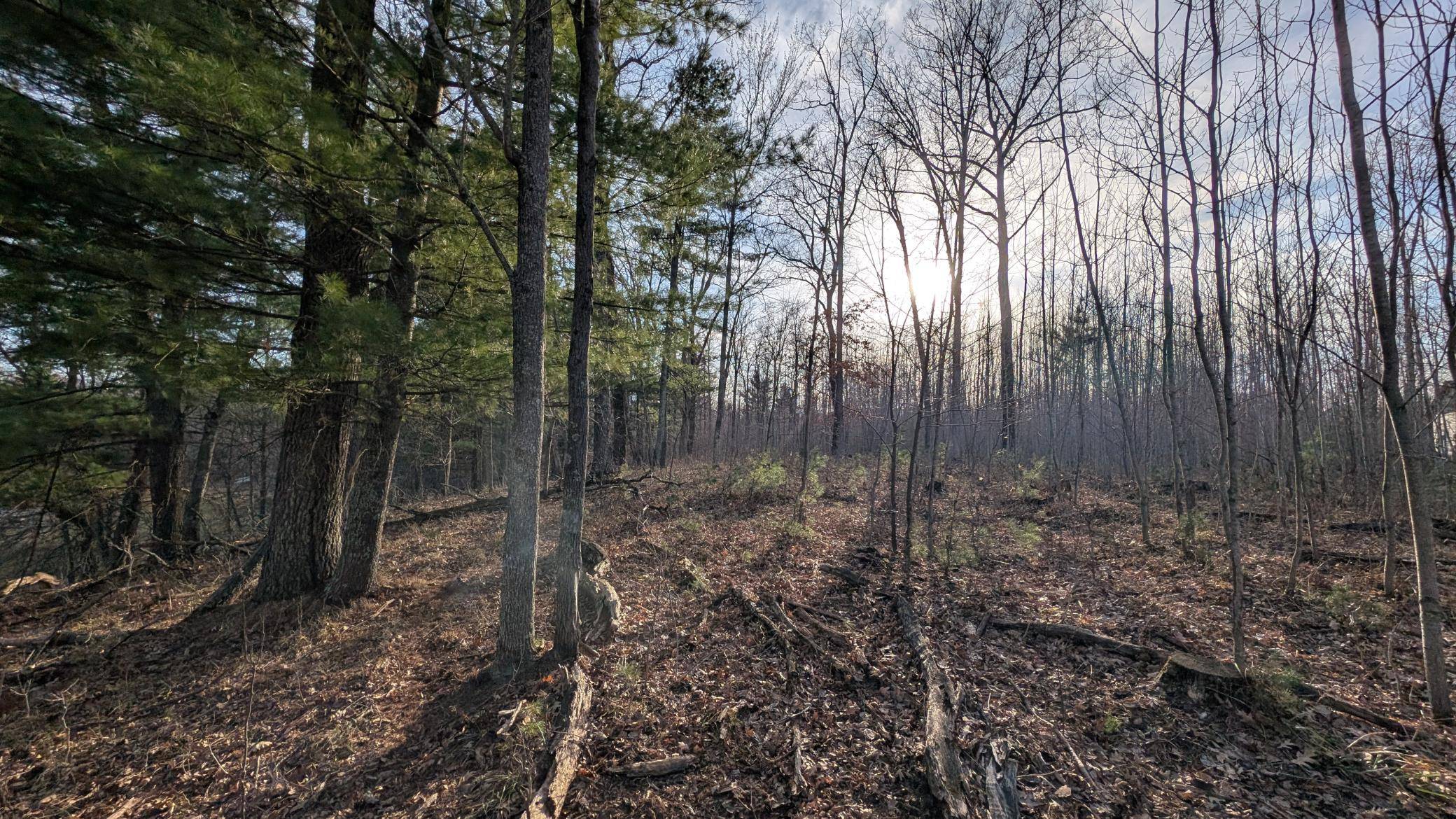 TBD Honkers Hollow, Danbury, WI 54830