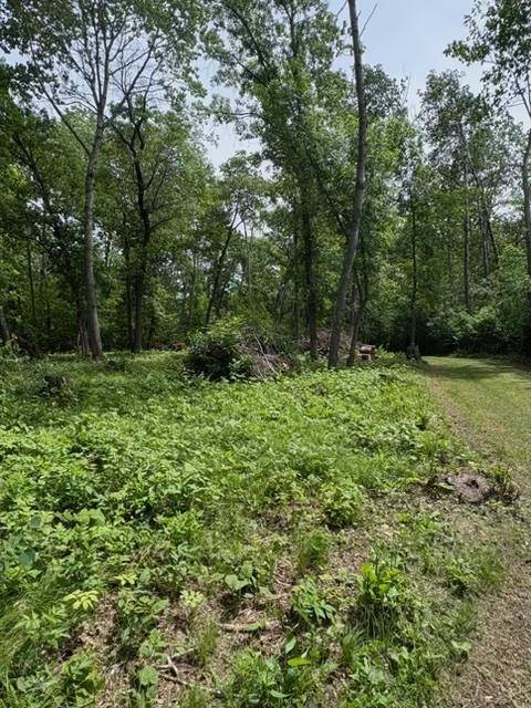 21404 Fair Oaks DR, Nevis, MN 56467