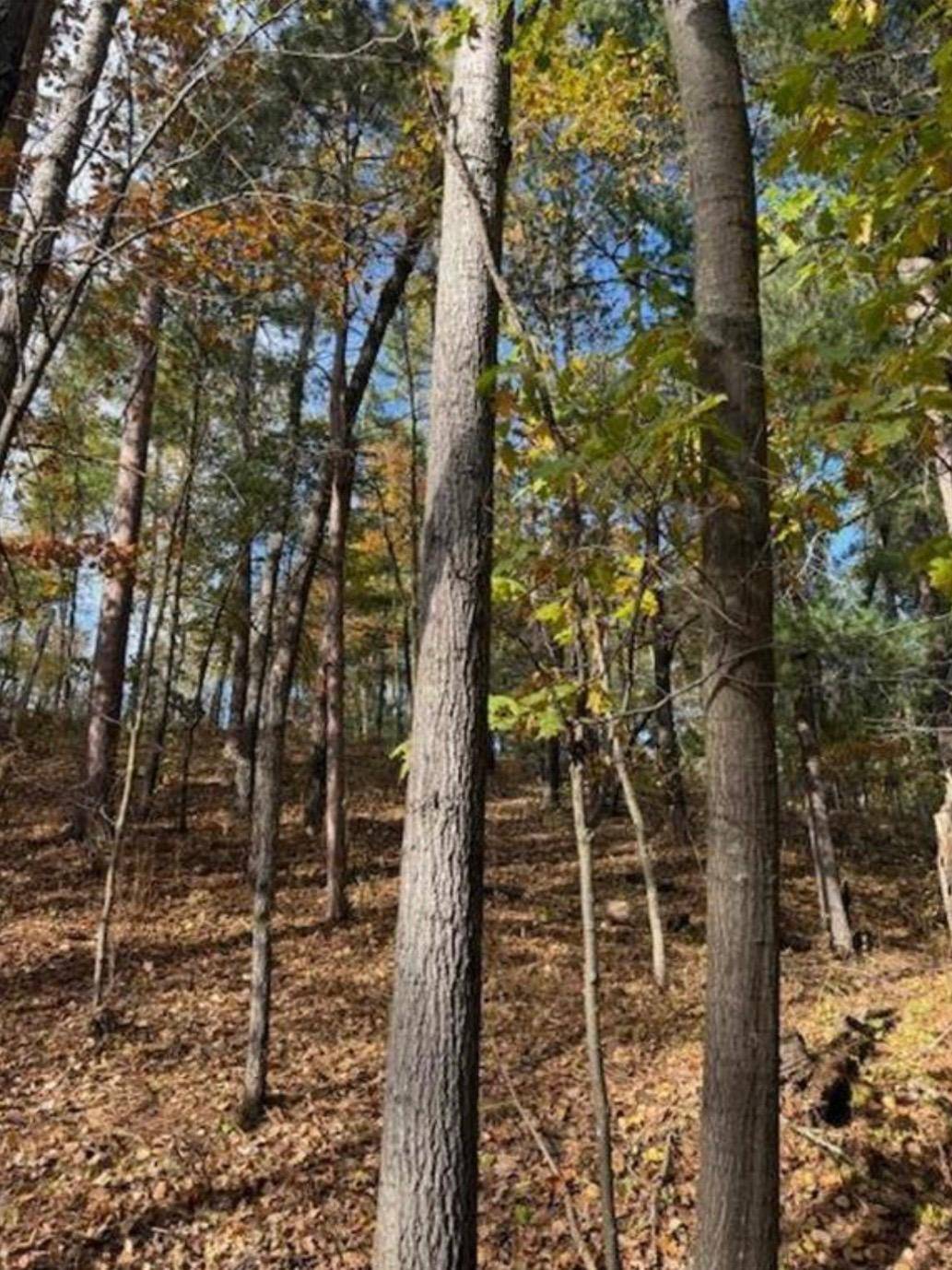 1380 Little John RD, Nisswa, MN 56468
