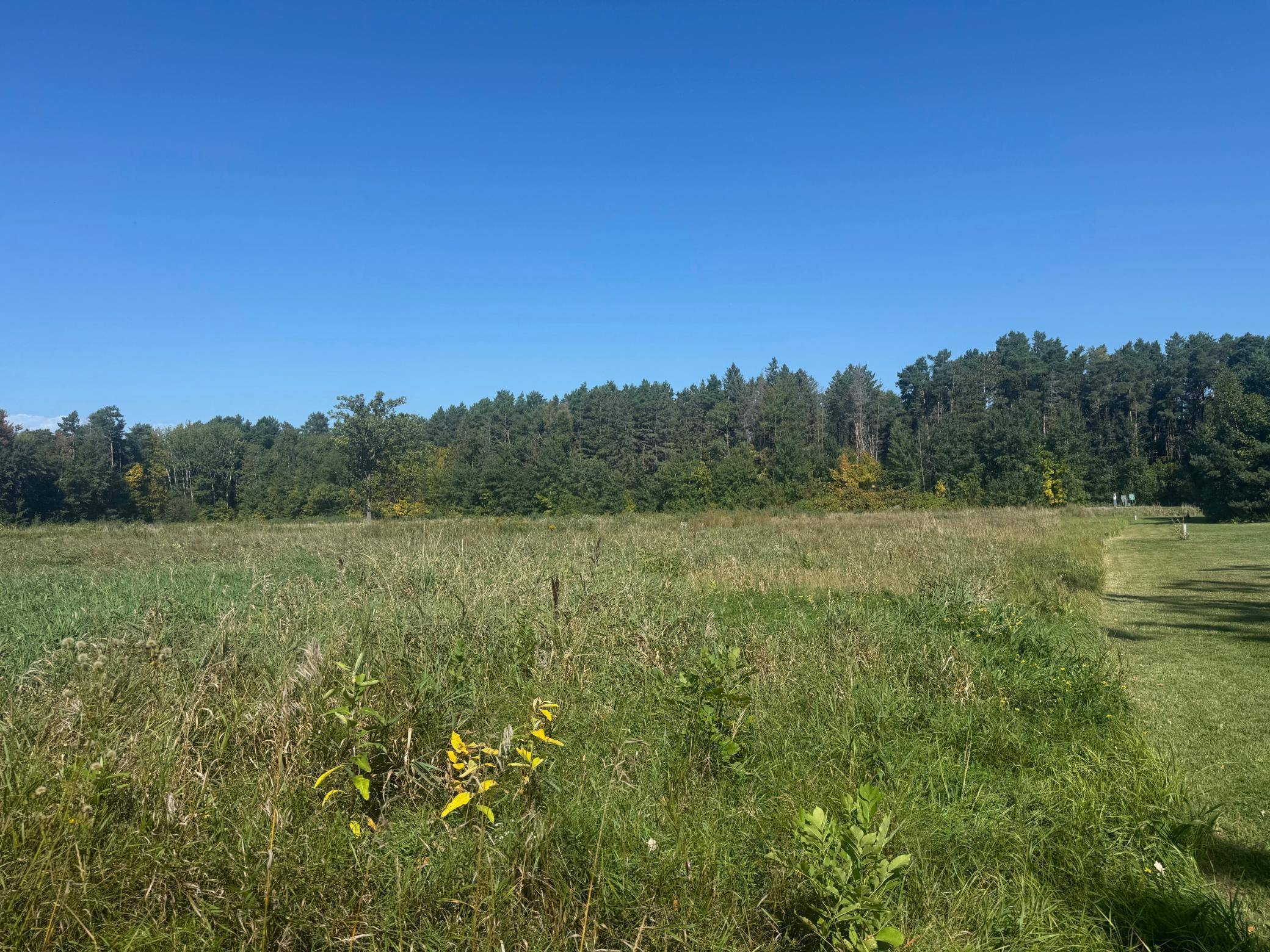TBD Lilac DR, Garrison, MN 56450