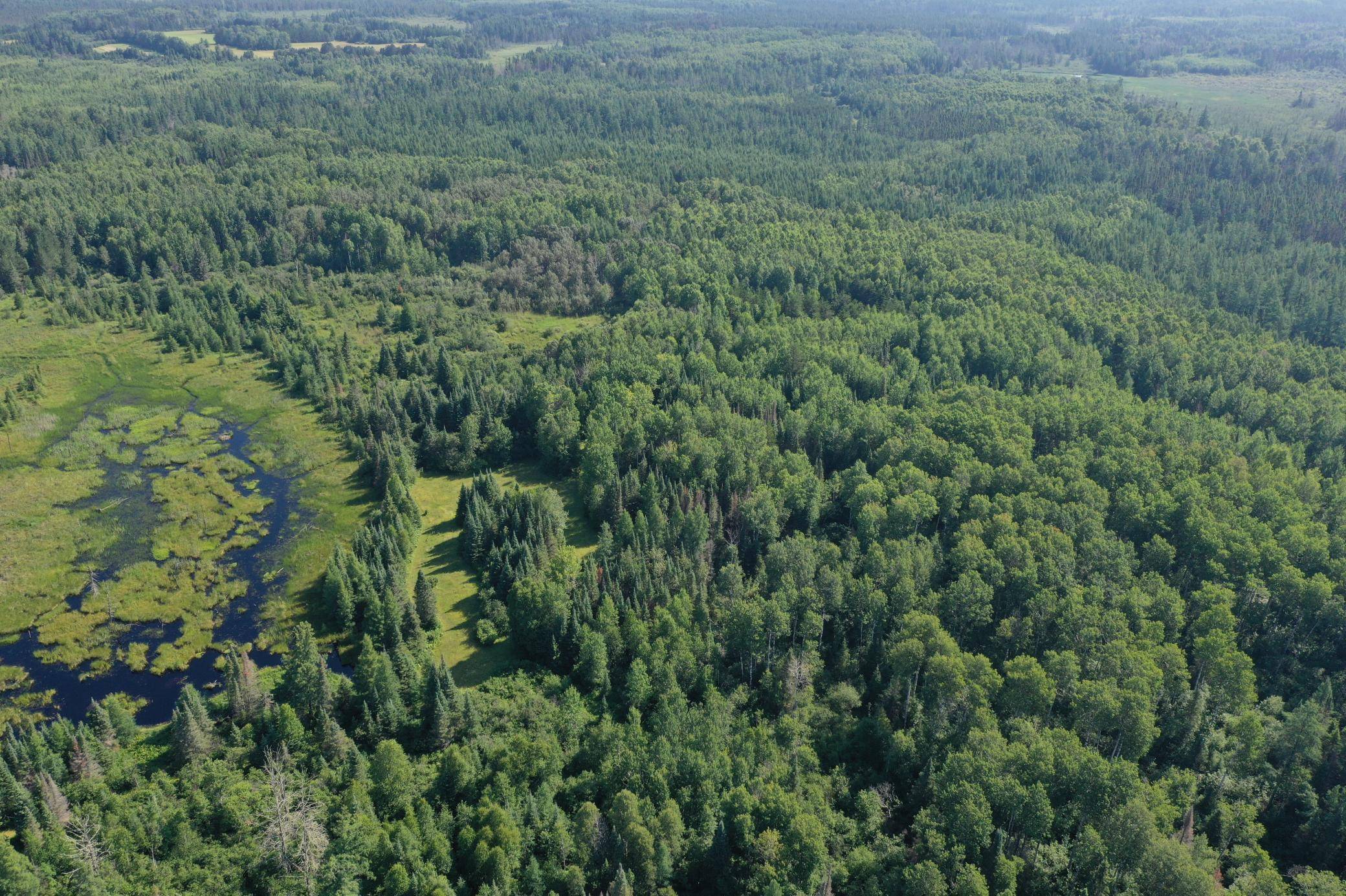 8124 Virginia Ely Rd., Babbitt, MN 55706