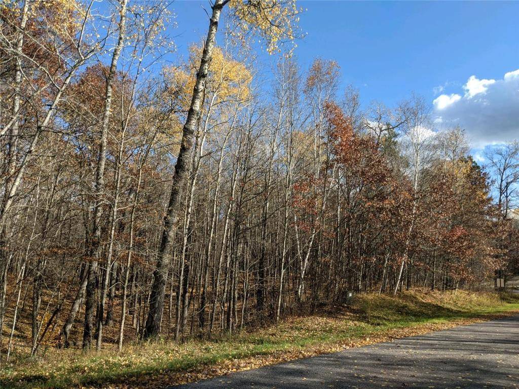 L10 B17 Green Scene DR, Breezy Point, MN 56472