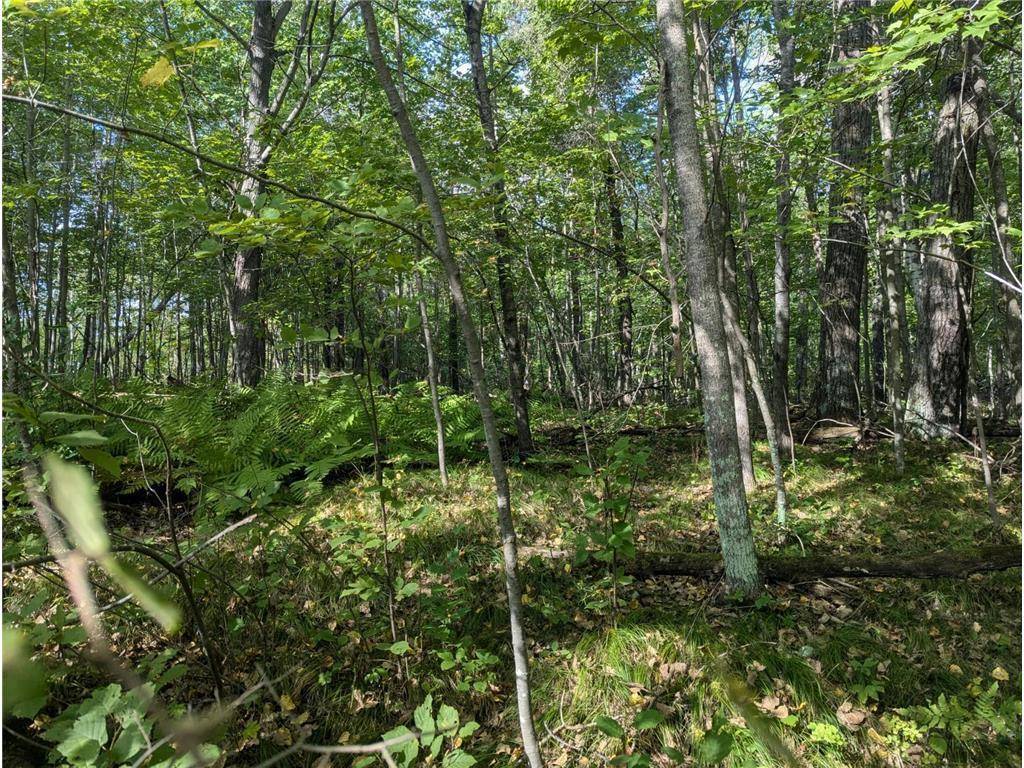 L23 B32 Shady Trail, Breezy Point, MN 56472