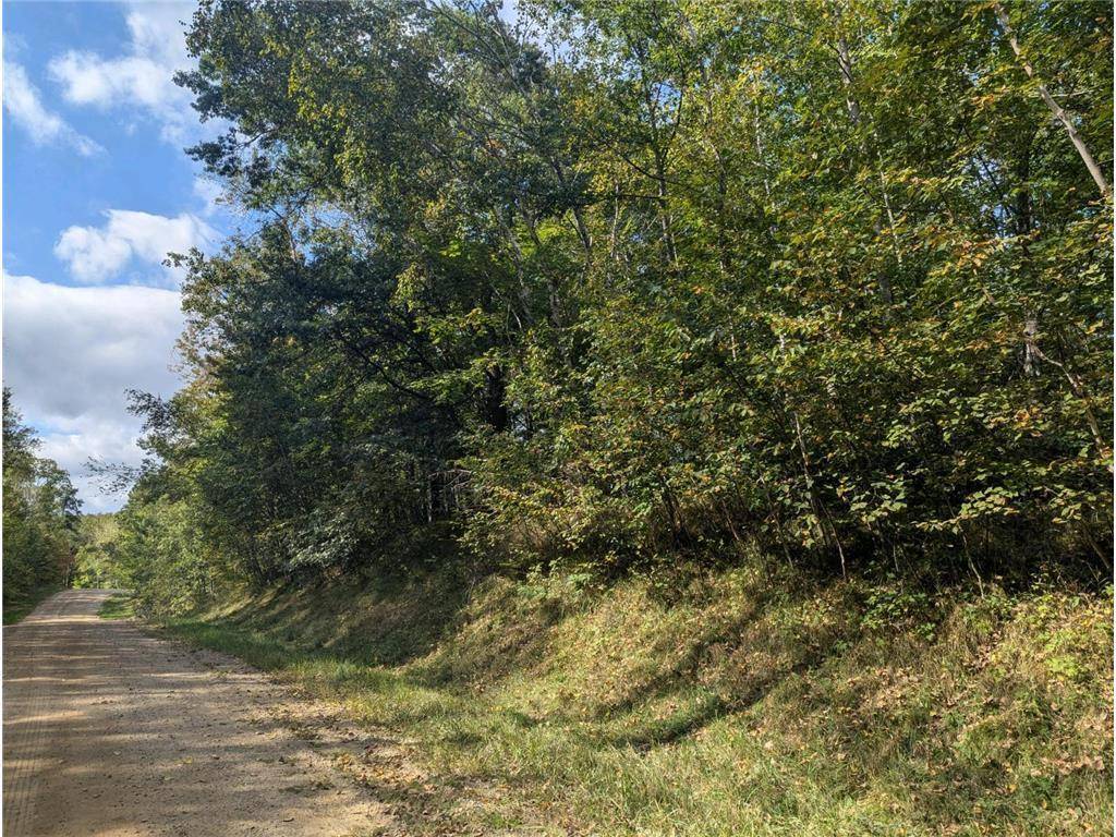 L23 B32 Shady Trail, Breezy Point, MN 56472