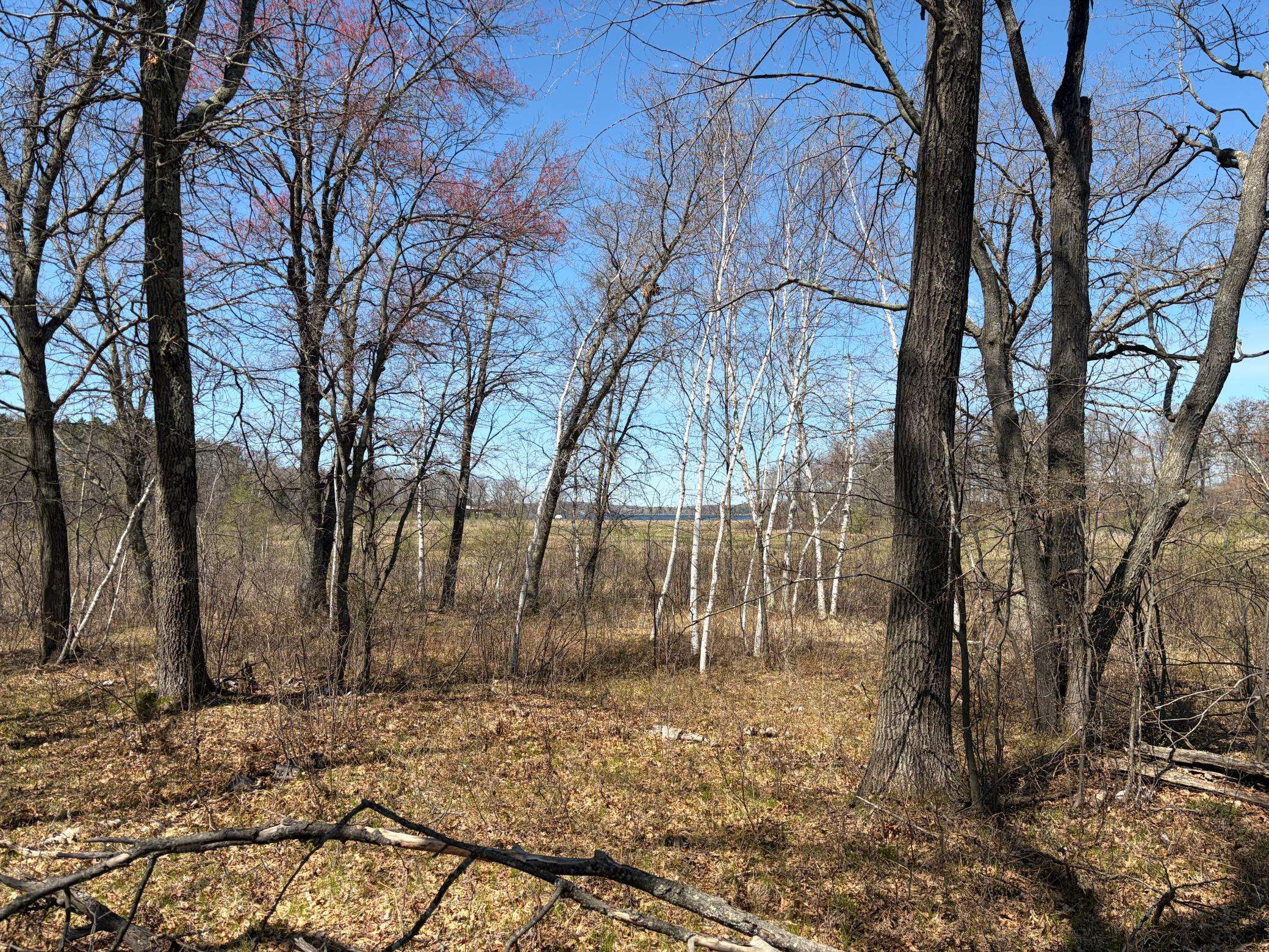 xxx Mann Road, Spooner, WI 54801