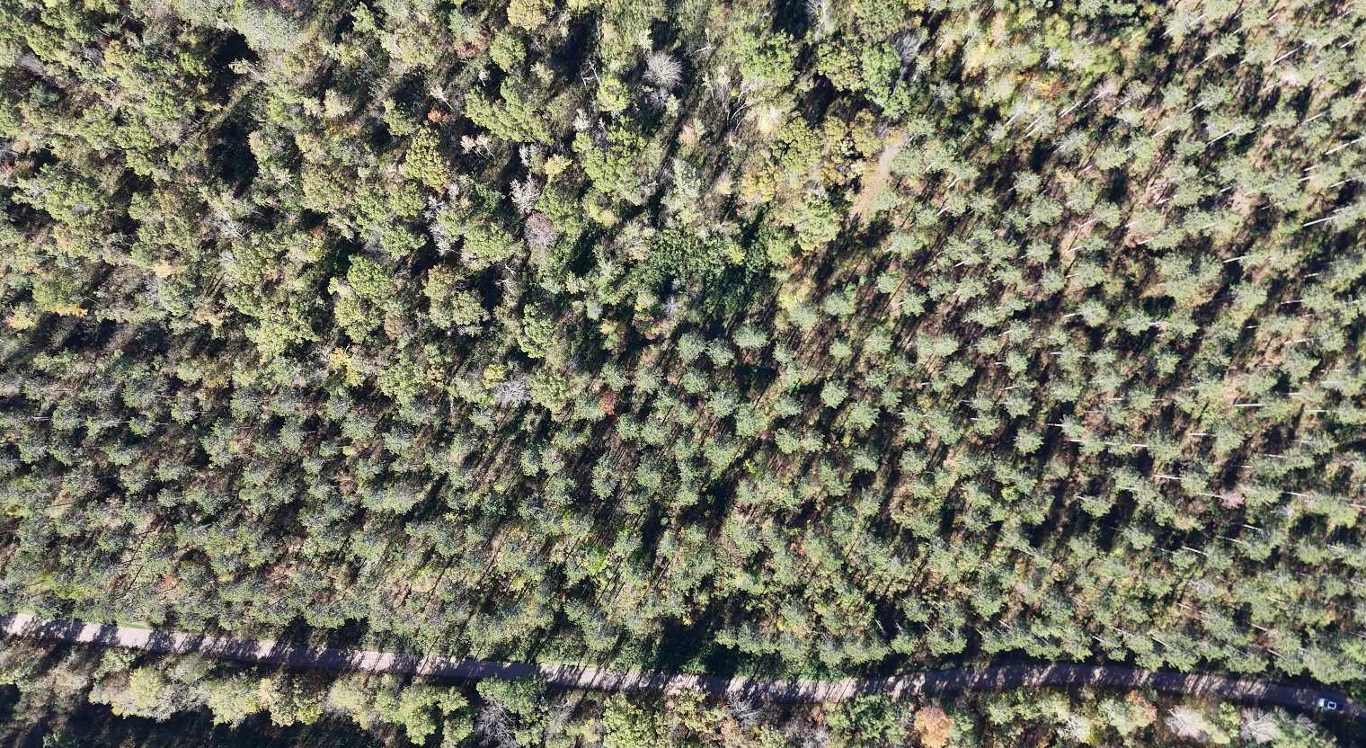 xxx Mann Road, Spooner, WI 54801