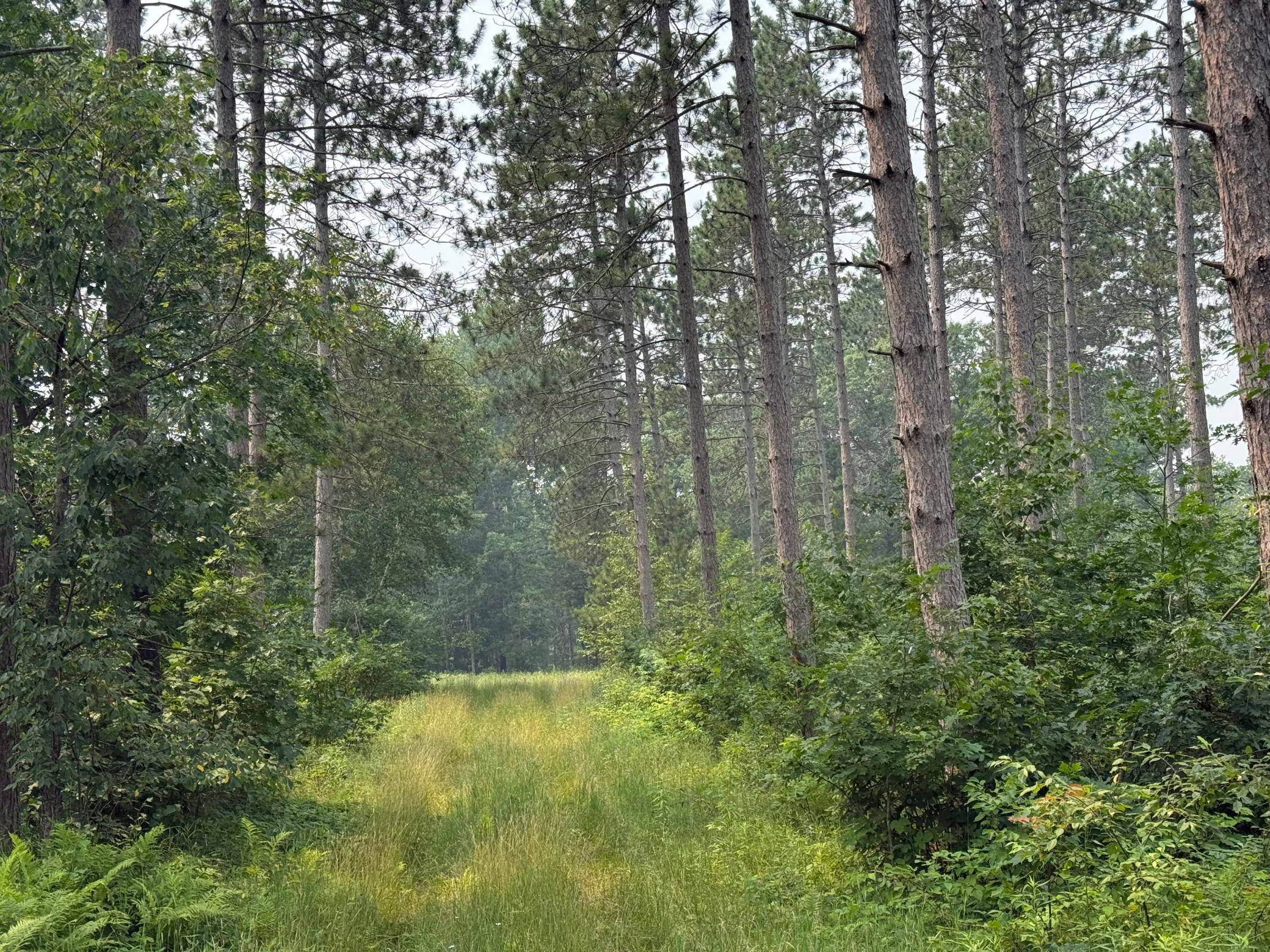 xxx Mann Road, Spooner, WI 54801