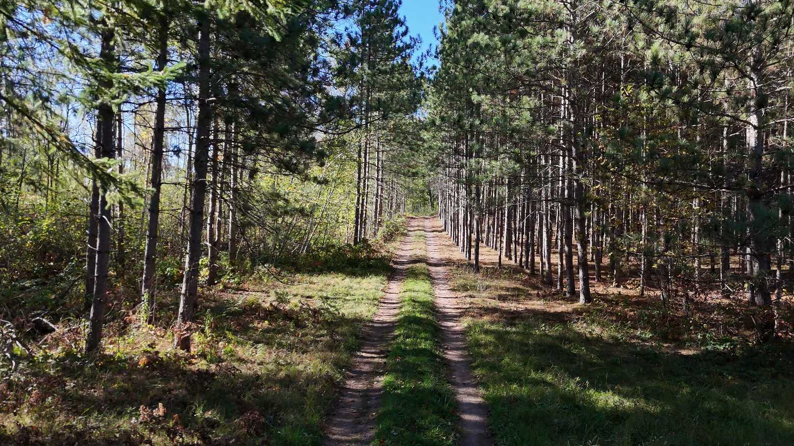 xxx Mann Road, Spooner, WI 54801