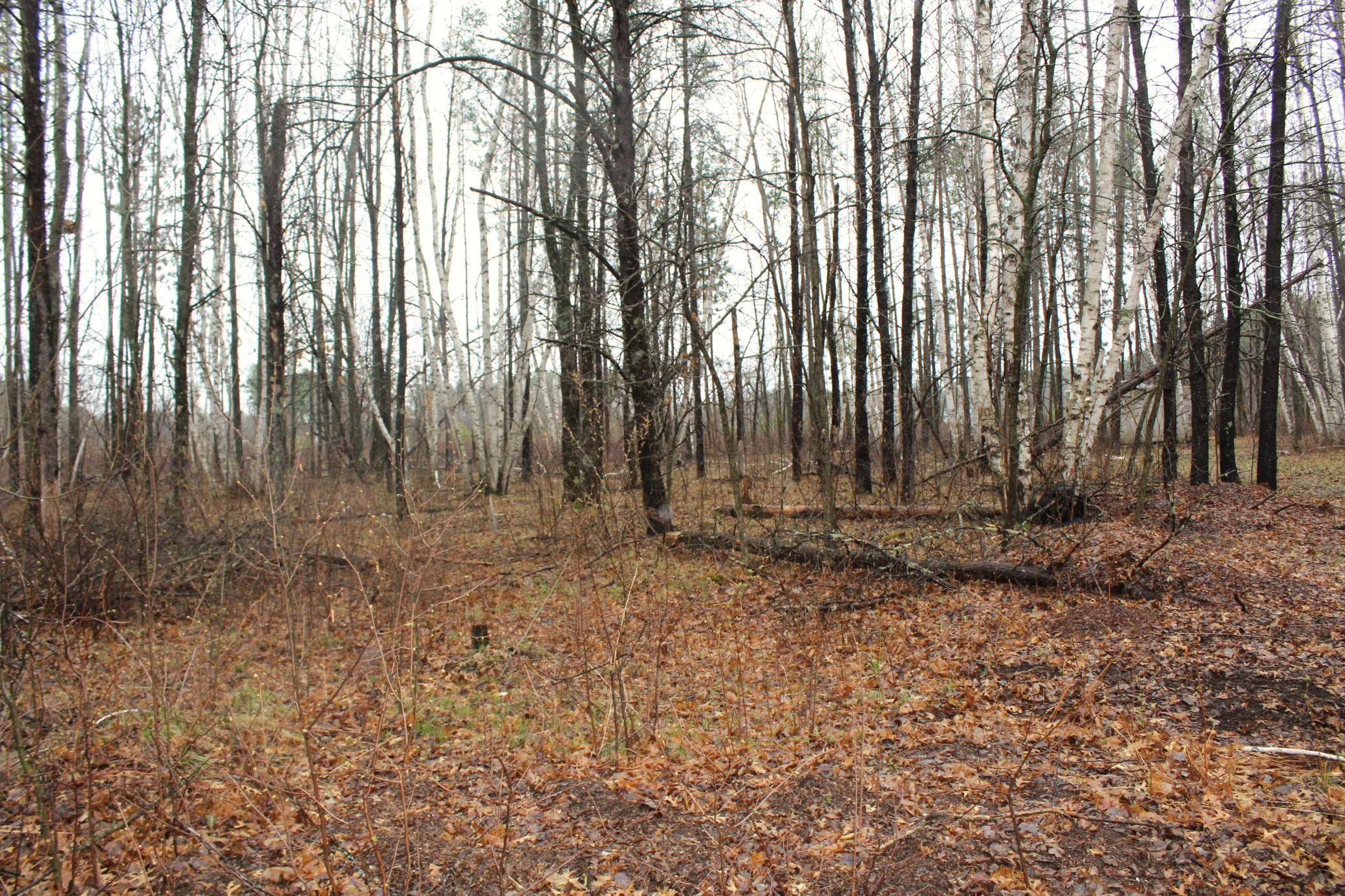 TBD 470th ST, Staples, MN 56479