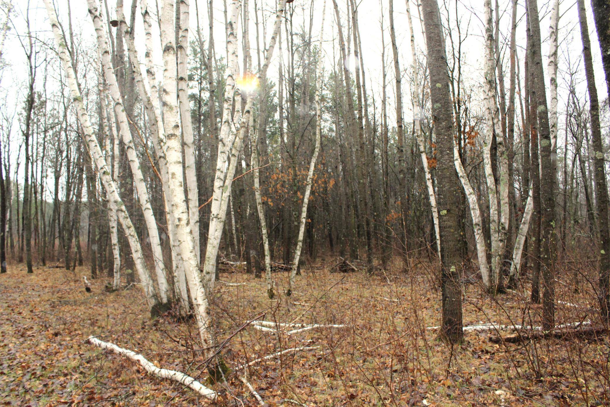 TBD 470th ST, Staples, MN 56479