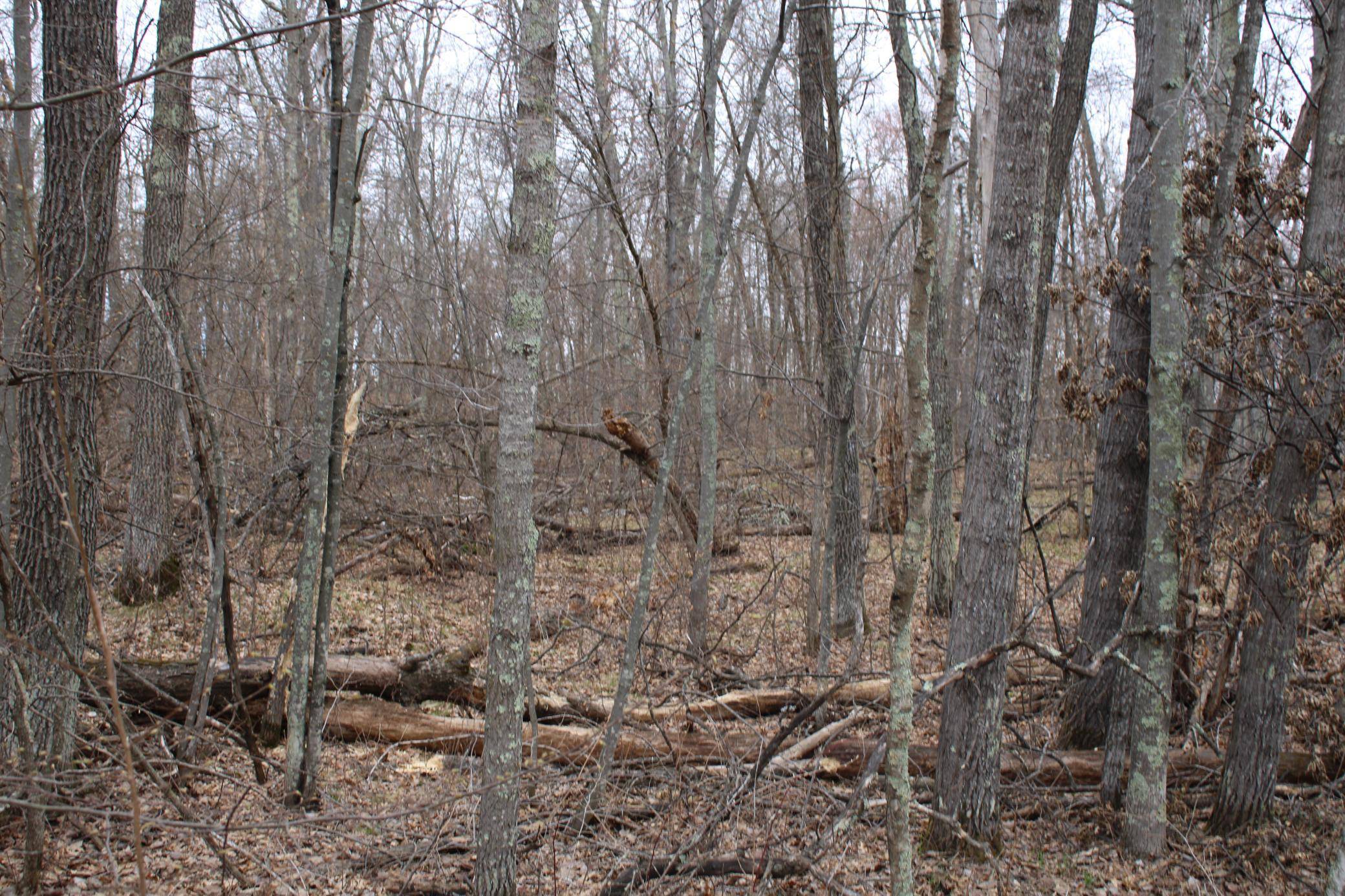 TBD St. Moritz BLVD, Breezy Point, MN 56472