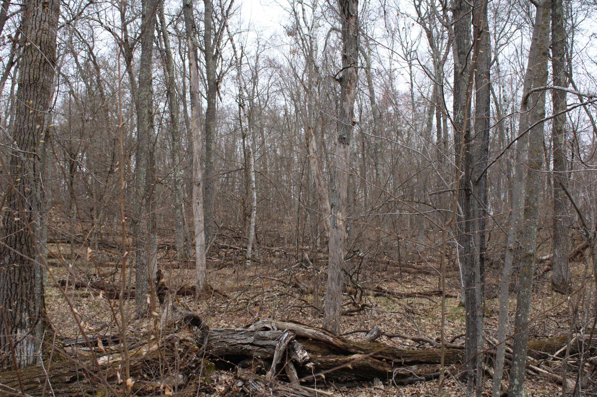 TBD St. Moritz BLVD, Breezy Point, MN 56472