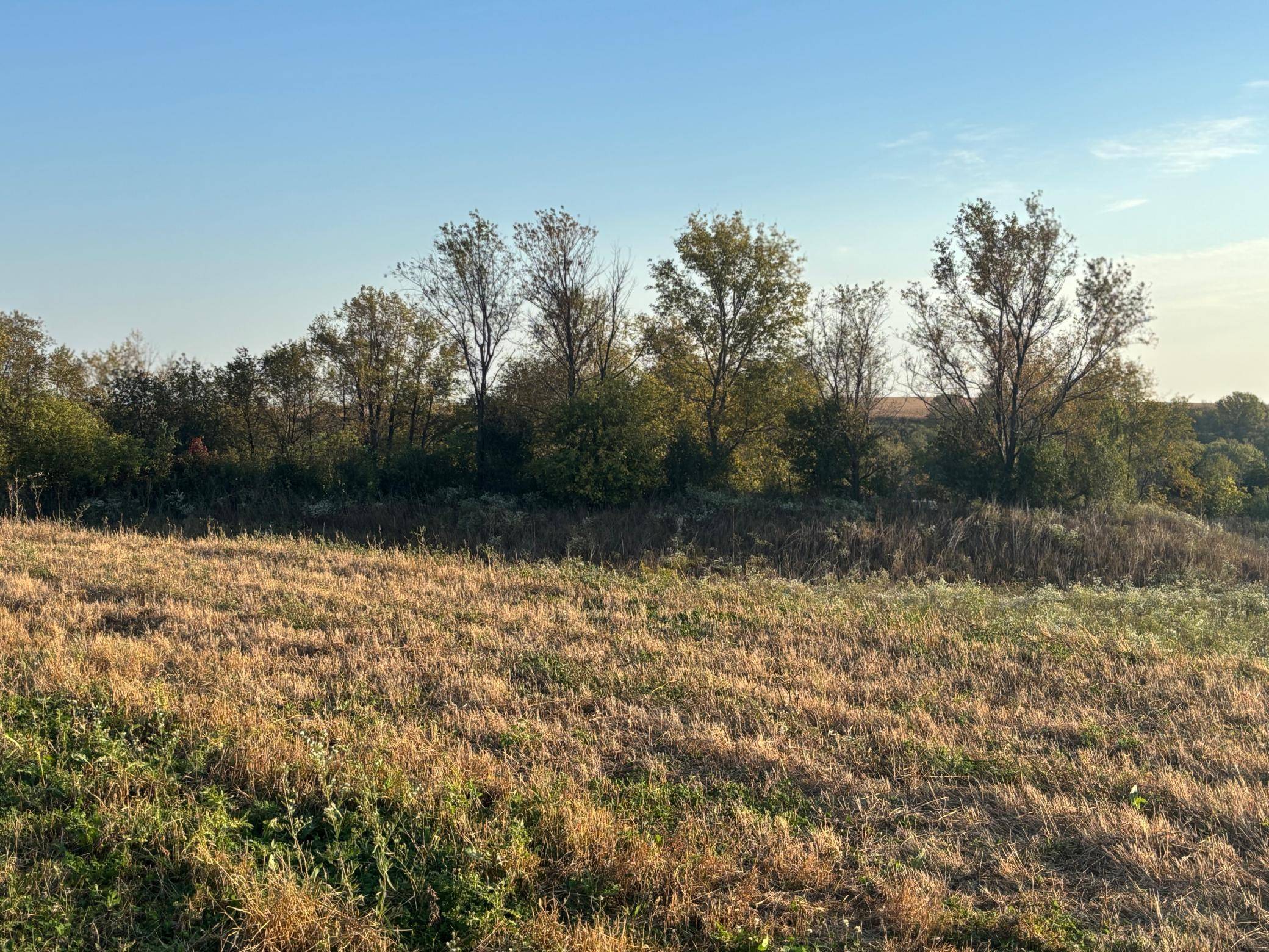 241 6th ST SE, Dover, MN 55929