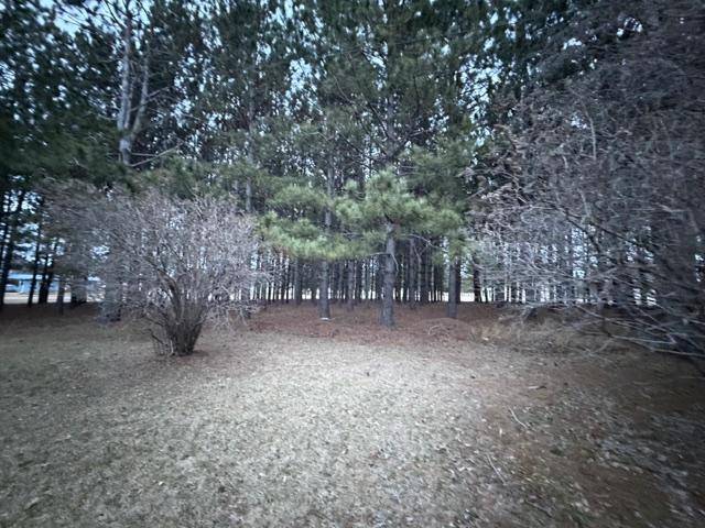 17 Ash BLVD, Babbitt, MN 55706