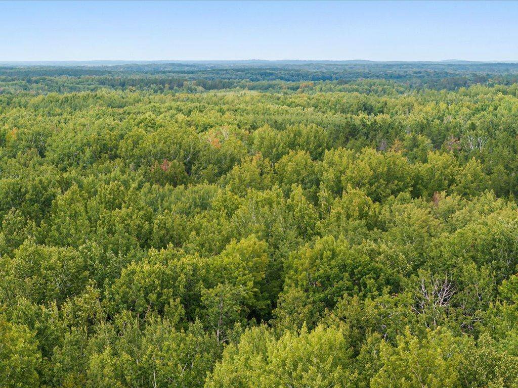 Lot C Sandbar Lane, Merrifield, MN 56465