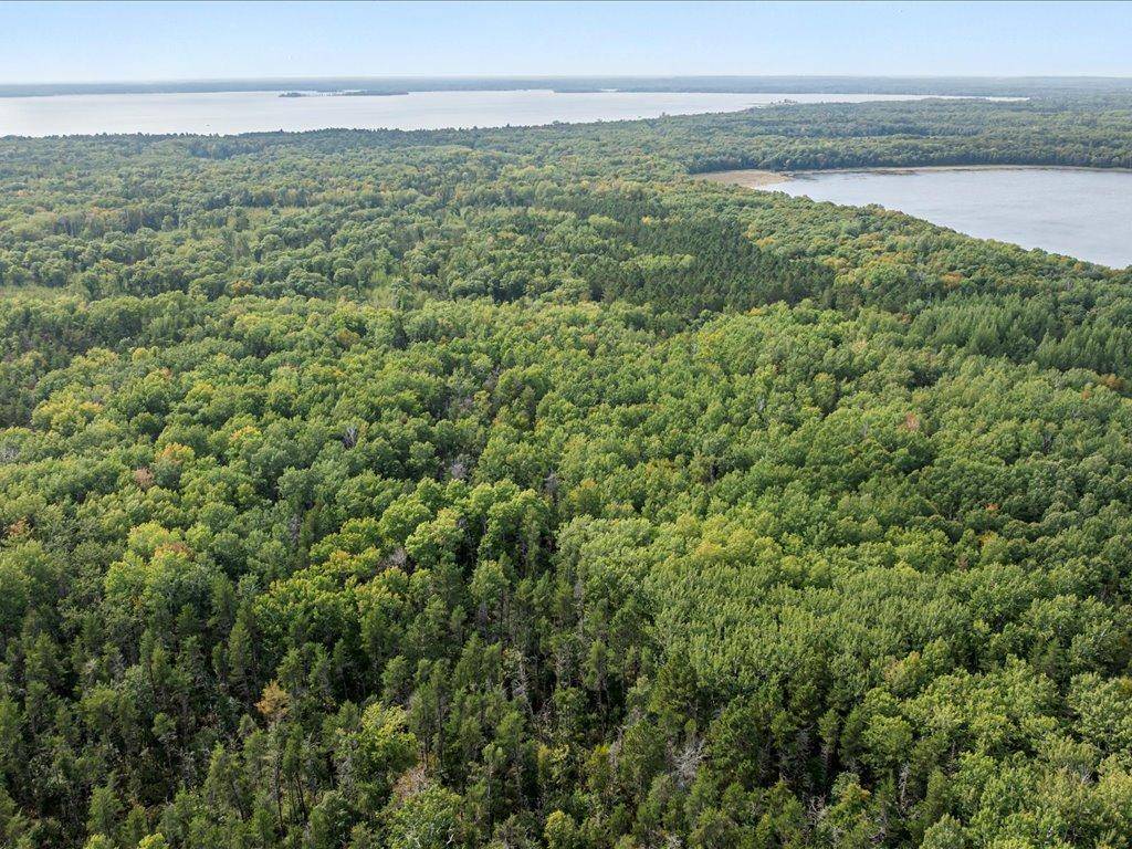 Lot E Sandbar Lane, Merrifield, MN 56465