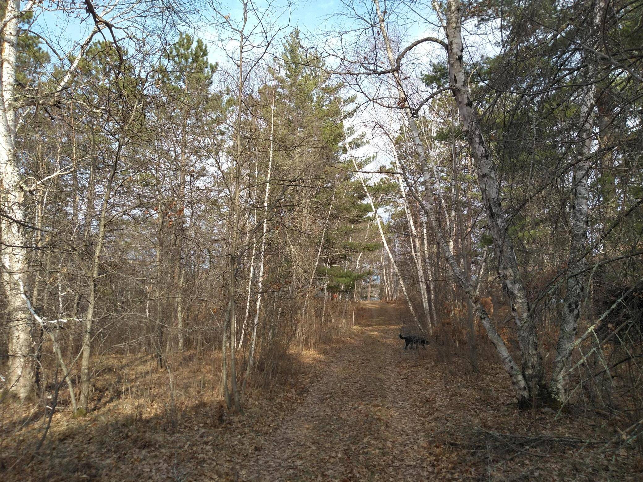 50126 County 29, Bemidji, MN 56601