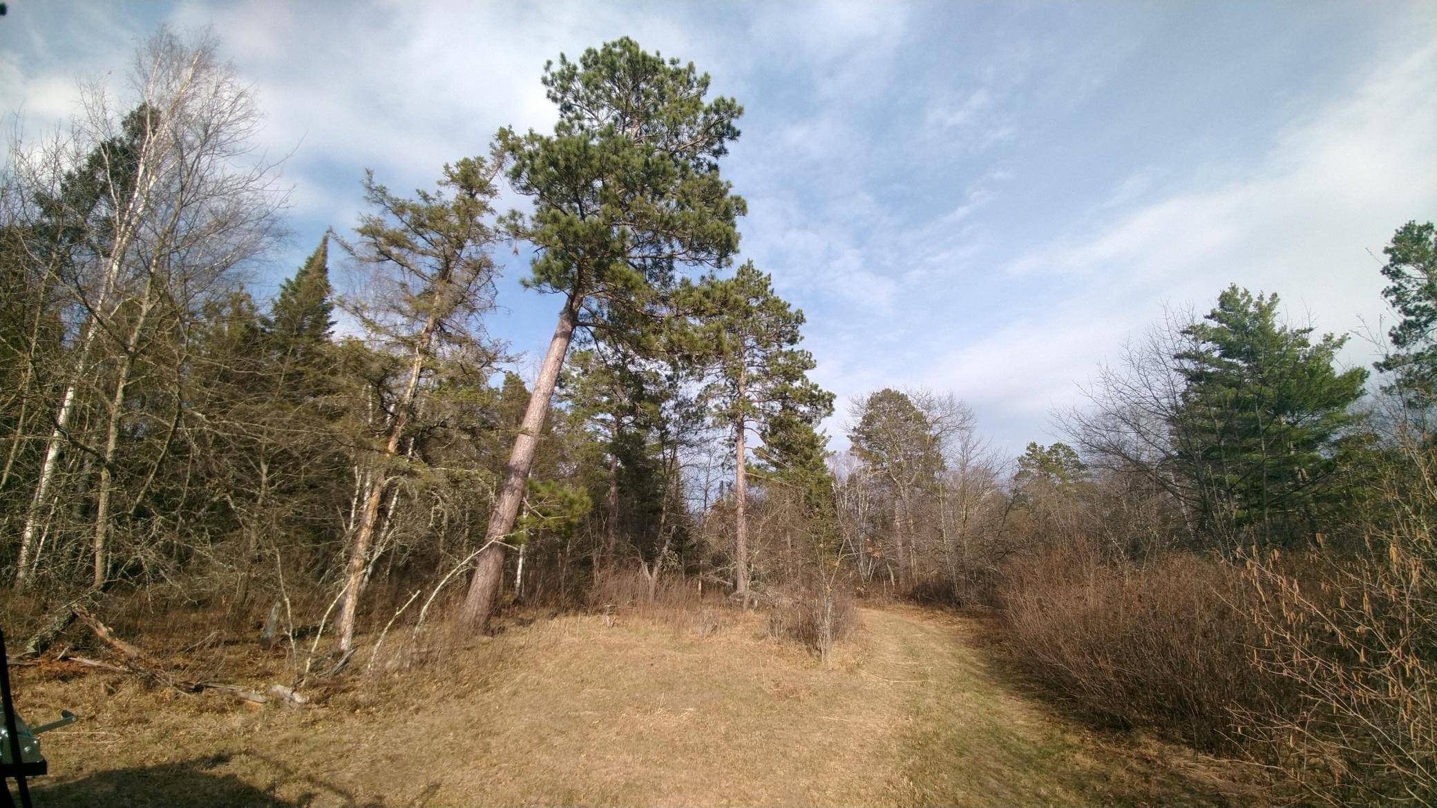 50126 County 29, Bemidji, MN 56601
