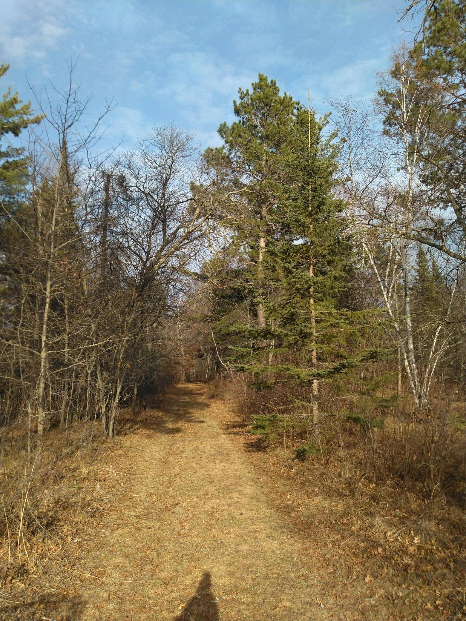 50126 County 29, Bemidji, MN 56601