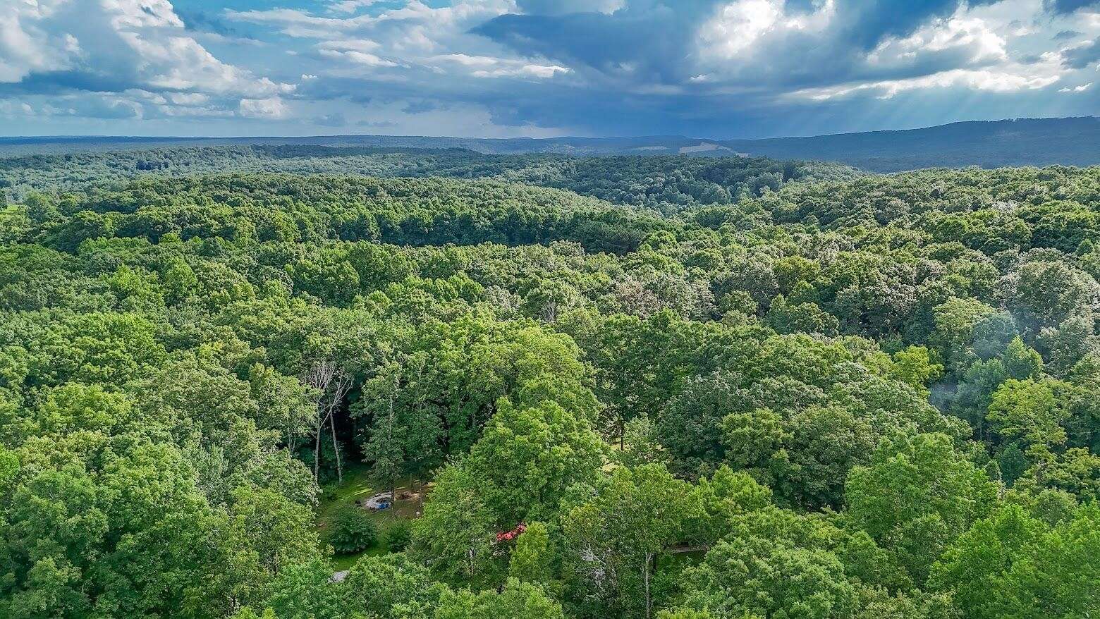 237 Chestnut Ridge Road, Spring City, TN 37381