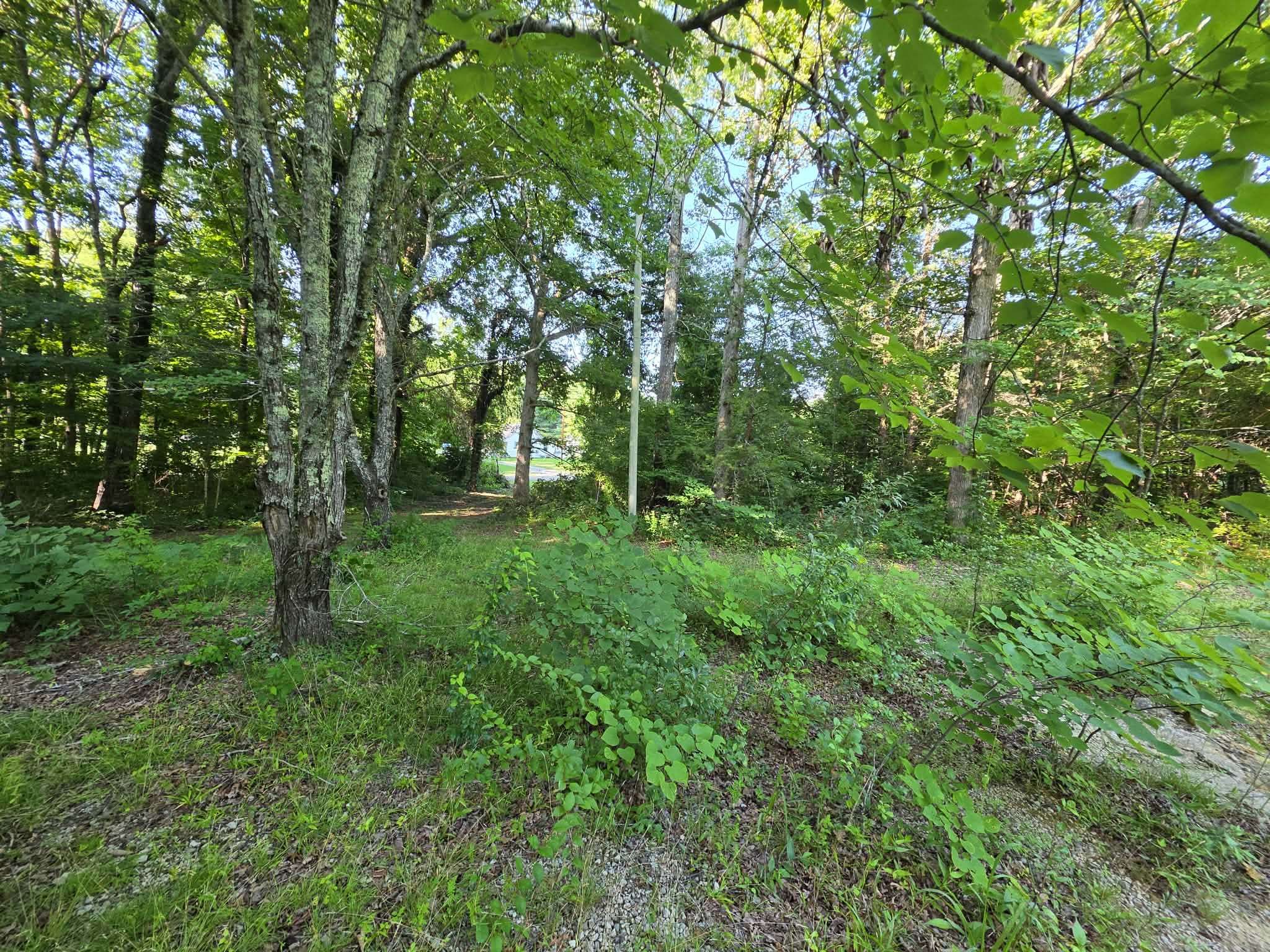 71 Myers Town Rd, Beersheba Springs, TN 37305