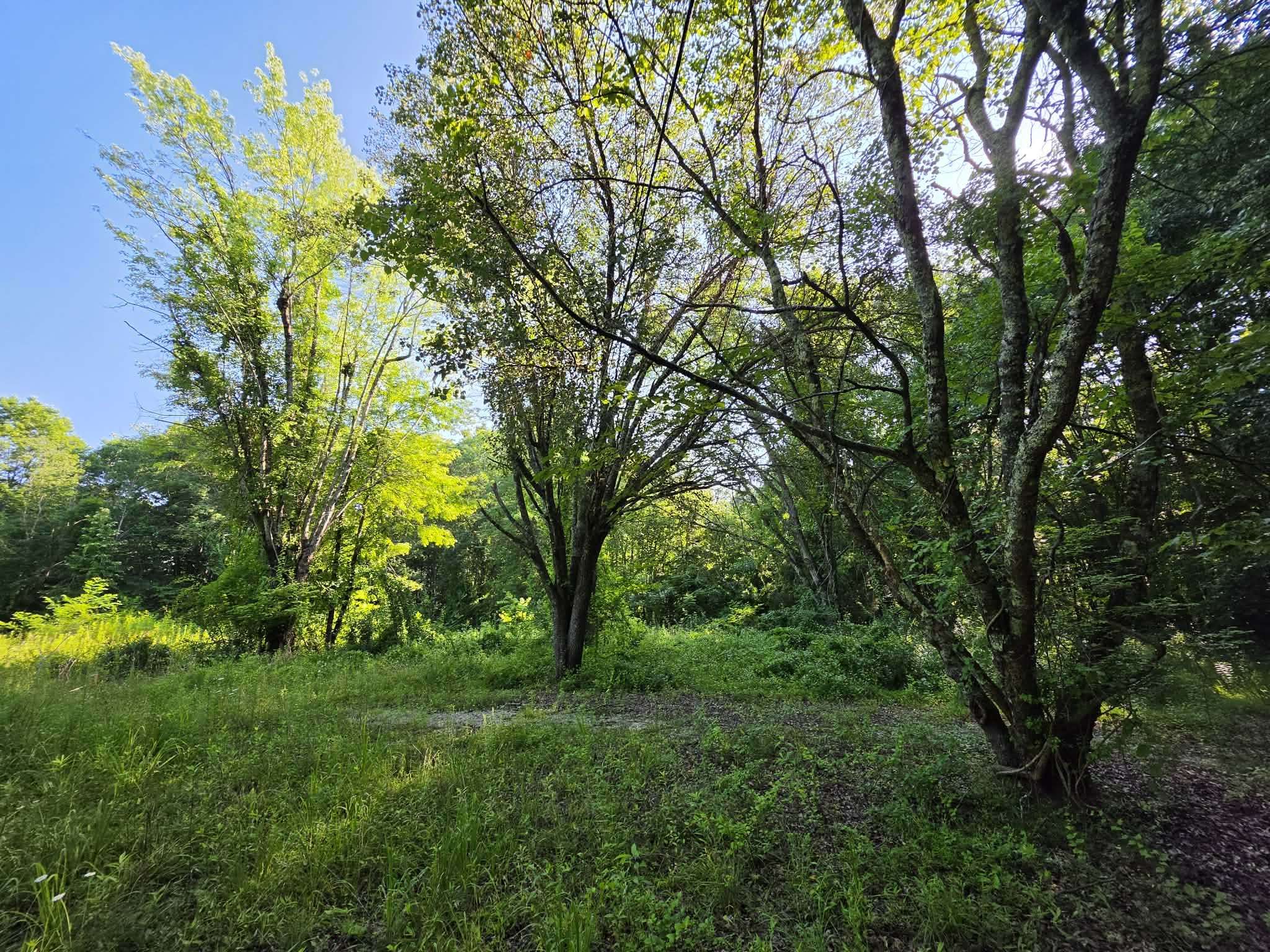 71 Myers Town Rd, Beersheba Springs, TN 37305