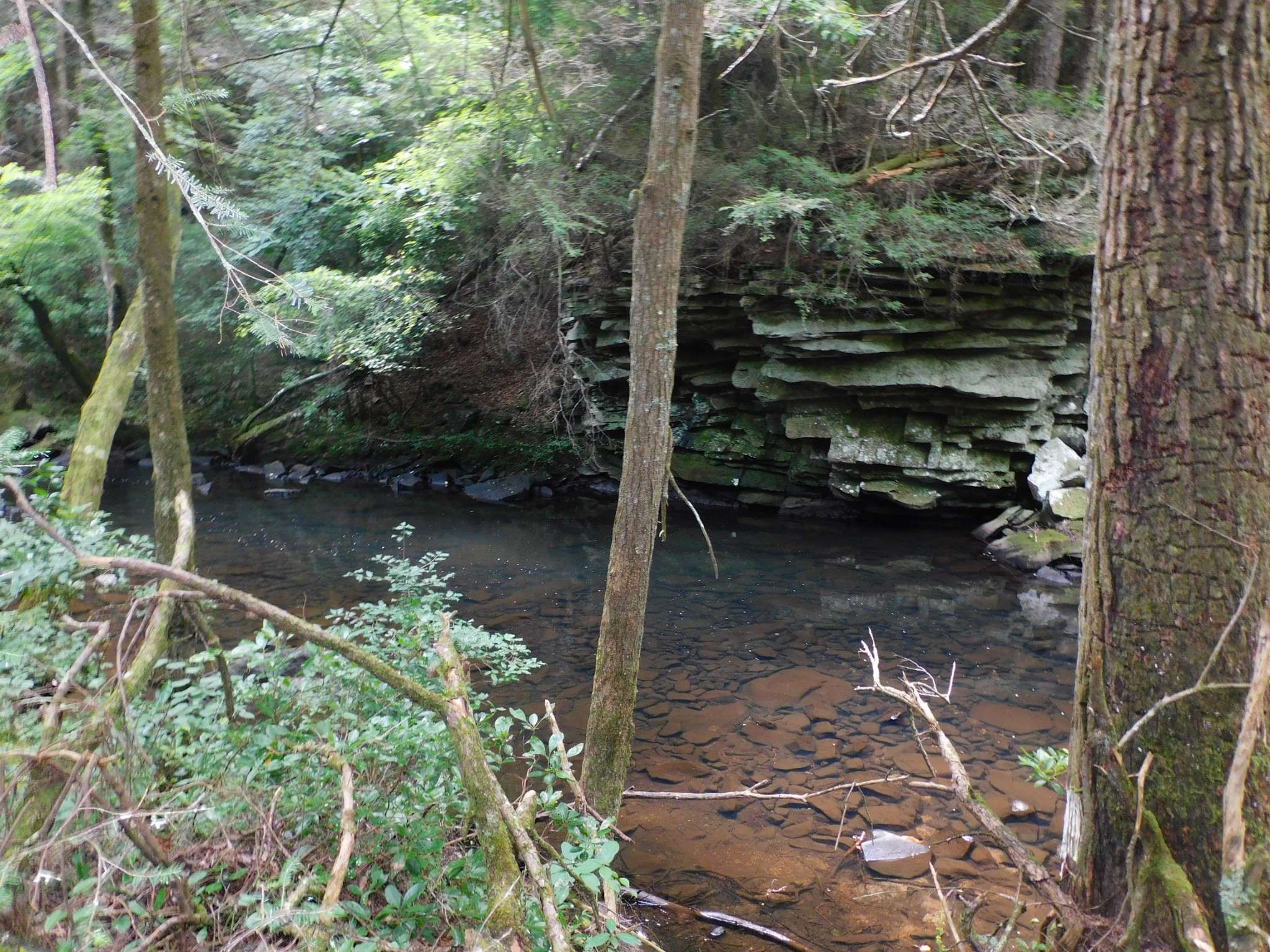 0 Old Highway 56, Coalmont, TN 37313