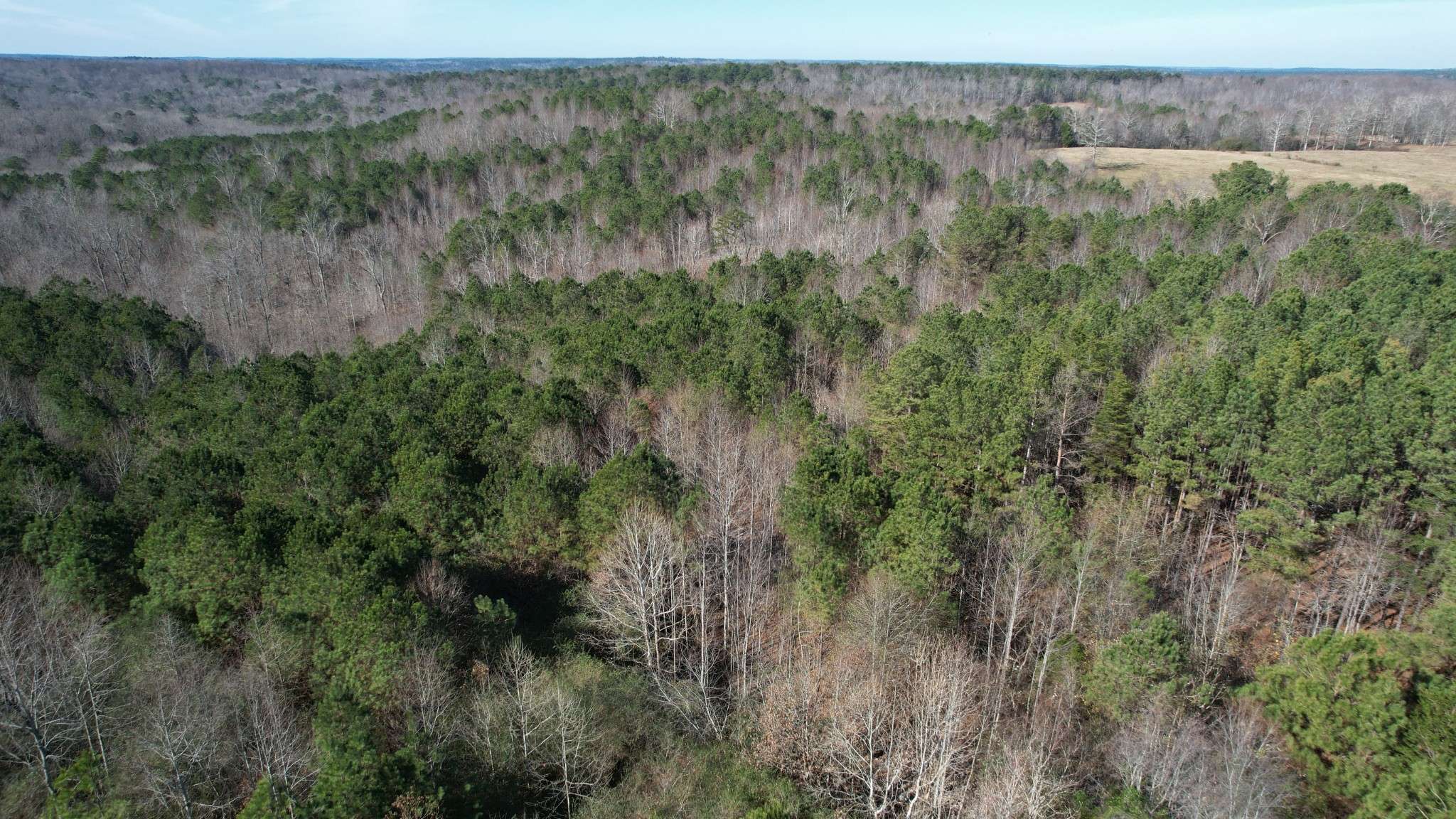0 County Road 41, Addison, AL 35540