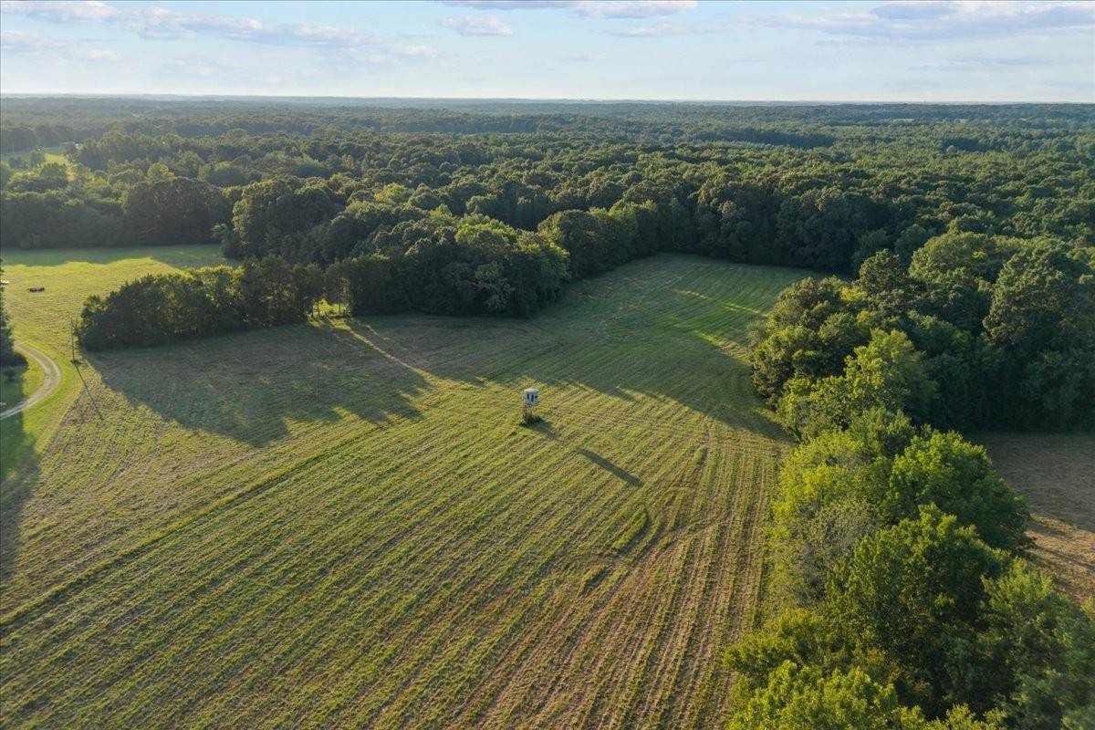 0 Cedar Grove Rd, Big Sandy, TN 38221