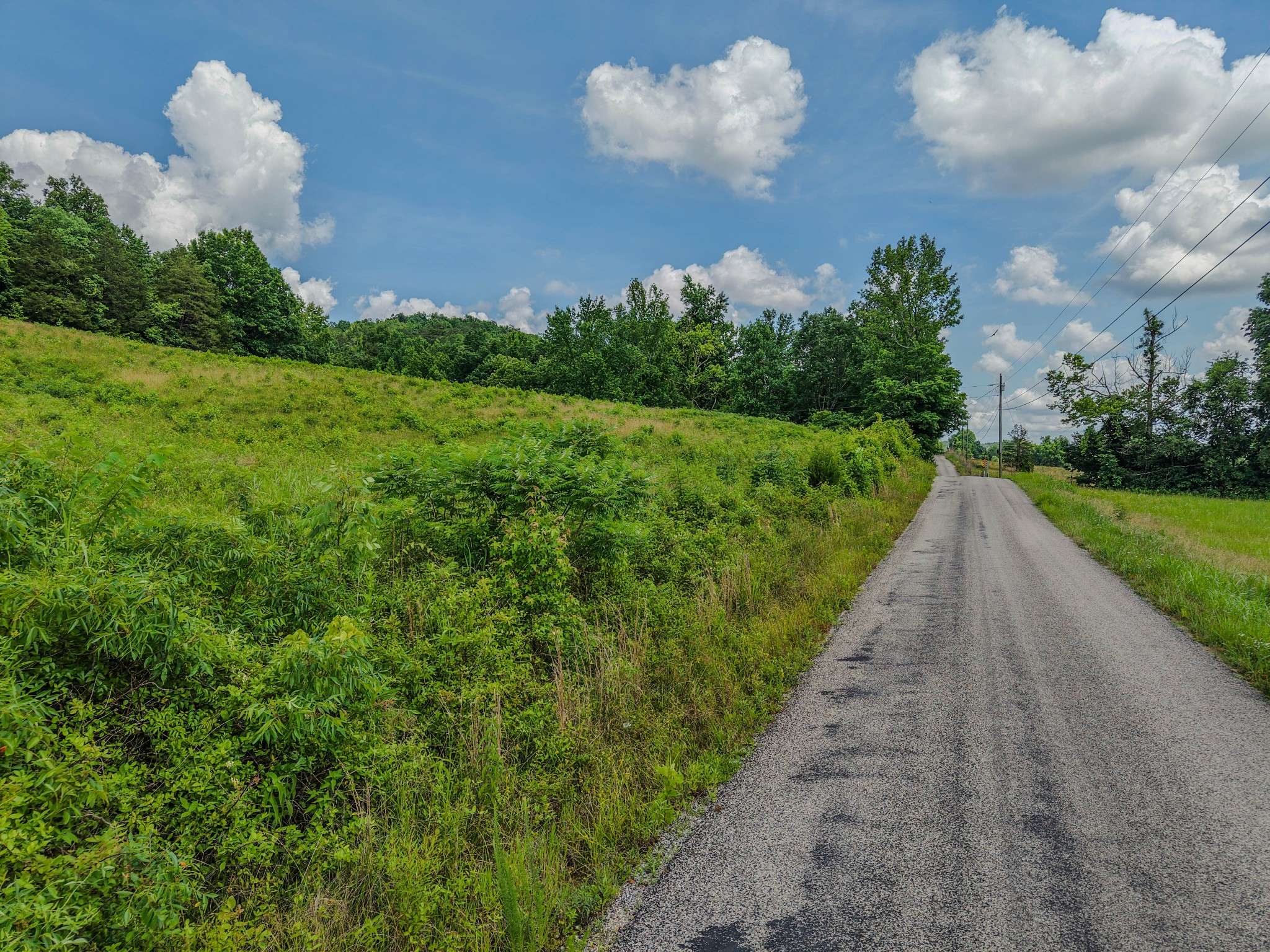 0 Rayburn Creek Rd, Collinwood, TN 38450