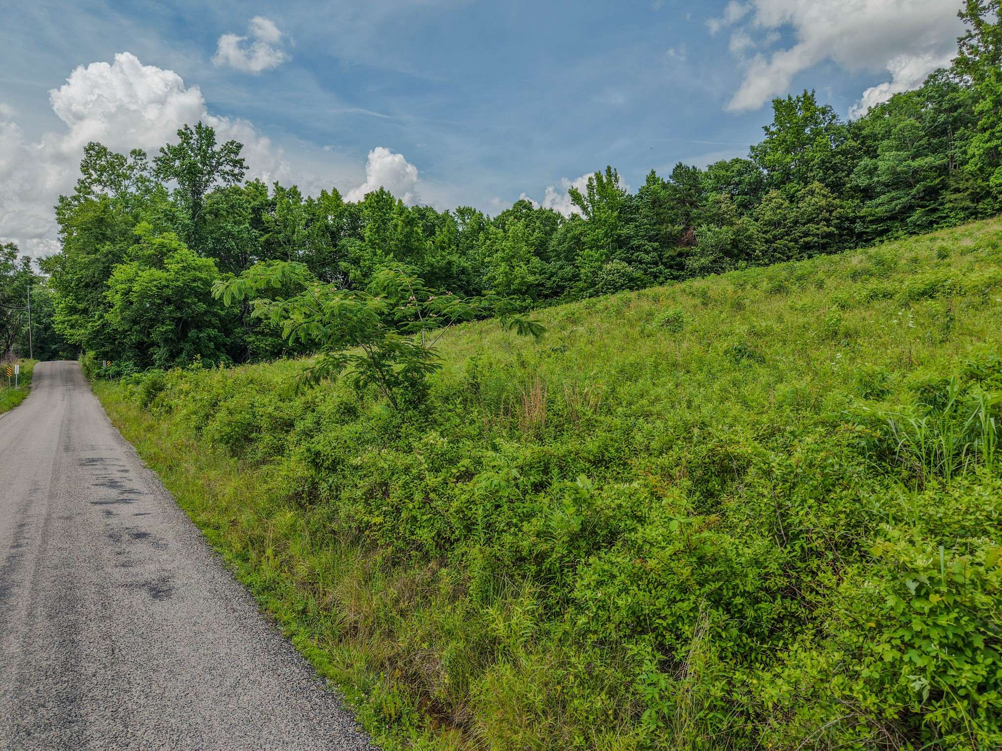 0 Rayburn Creek Rd, Collinwood, TN 38450
