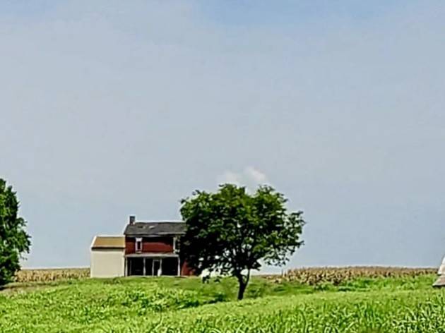1577 Adairville Rd, Franklin, KY 42134