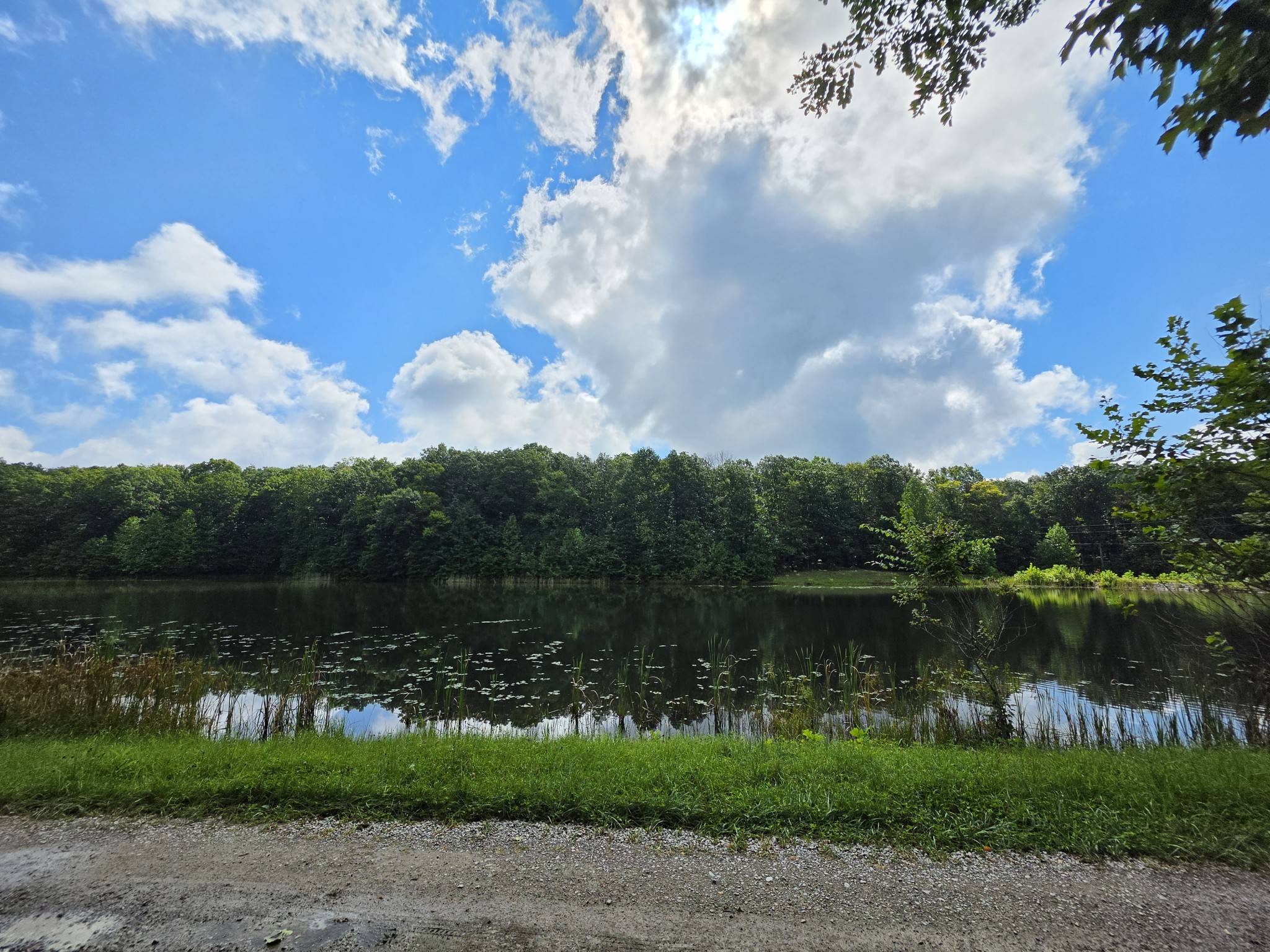 12 Valley View Drive, Altamont, TN 37301