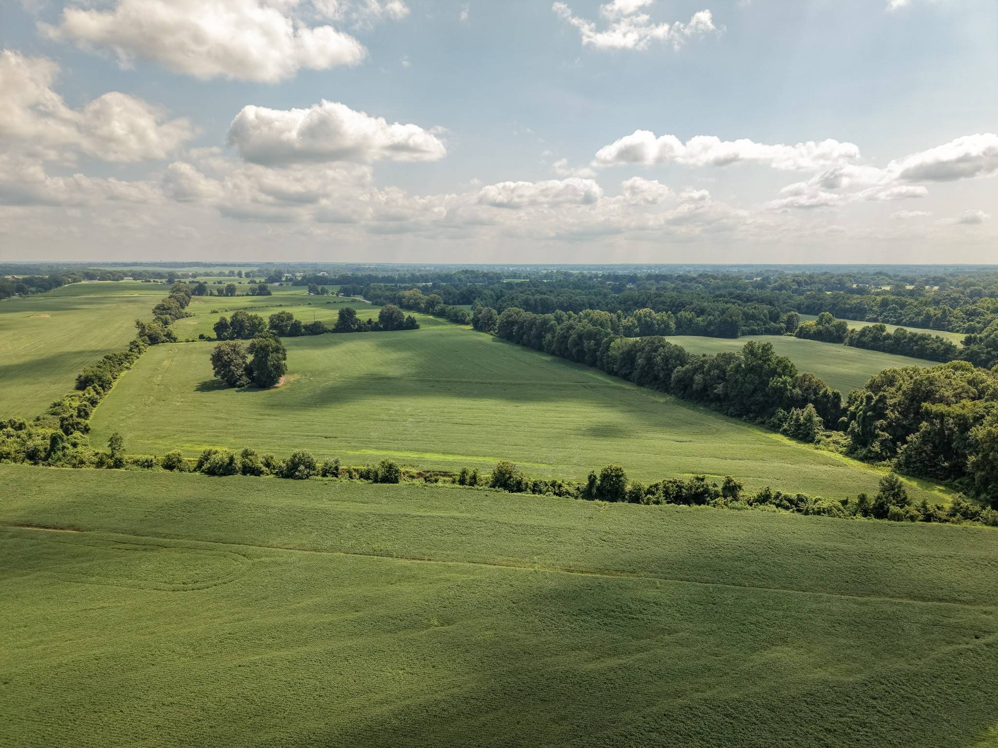 0 S Maury City Rd, Alamo, TN 38001