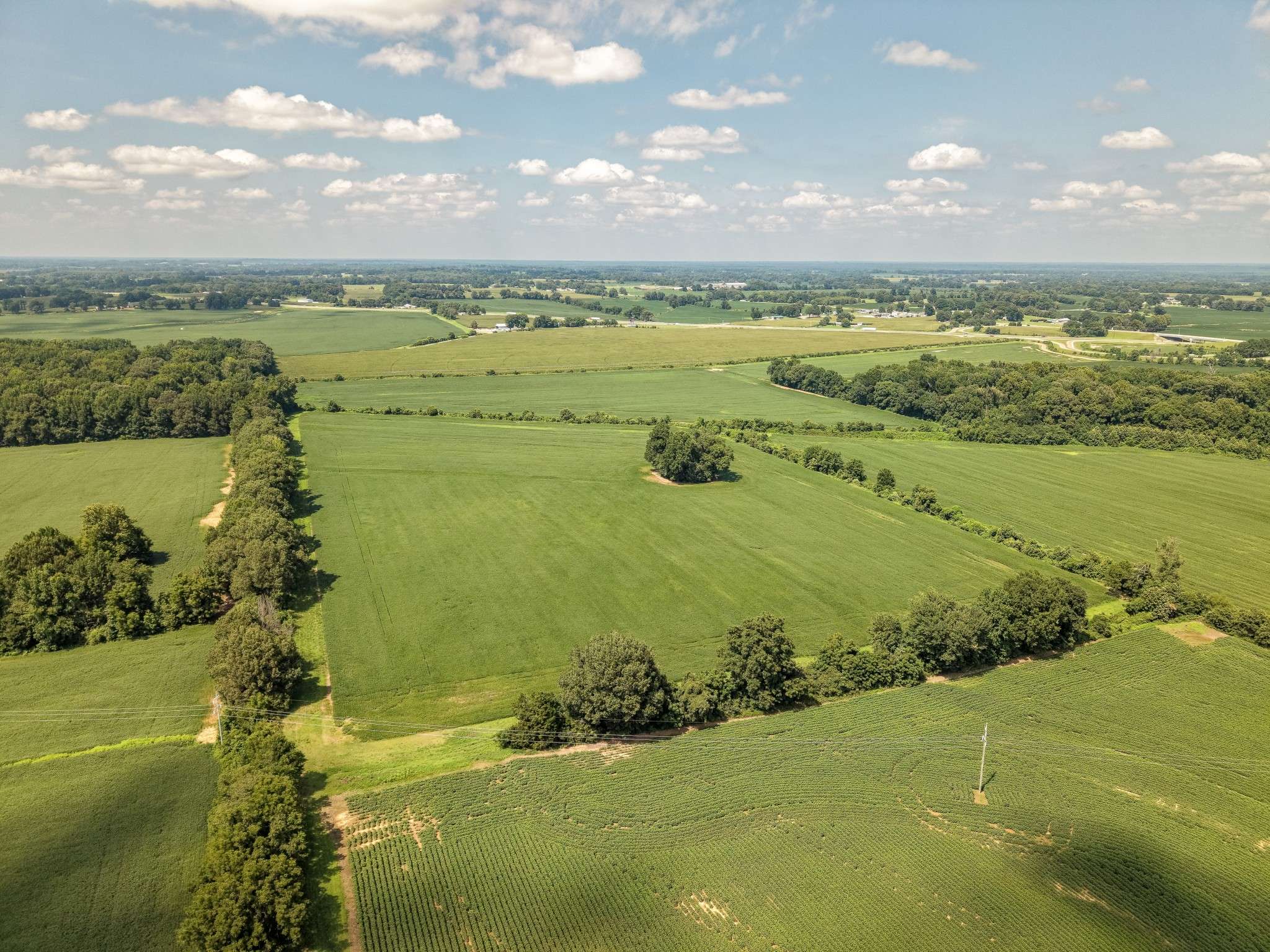 0 S Maury City Rd, Alamo, TN 38001