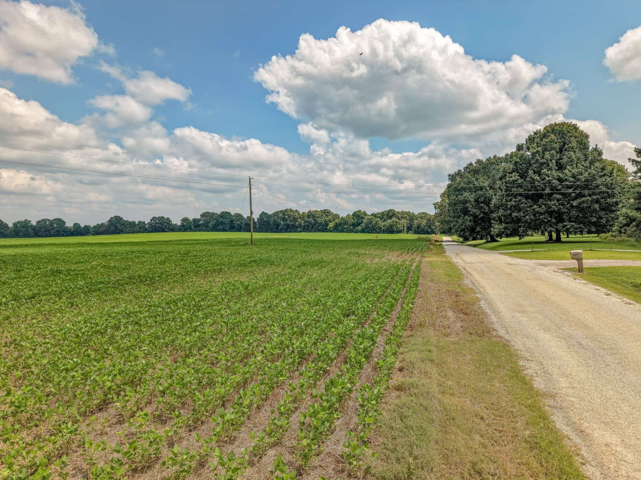 0 Love Rd, Bells, TN 38006