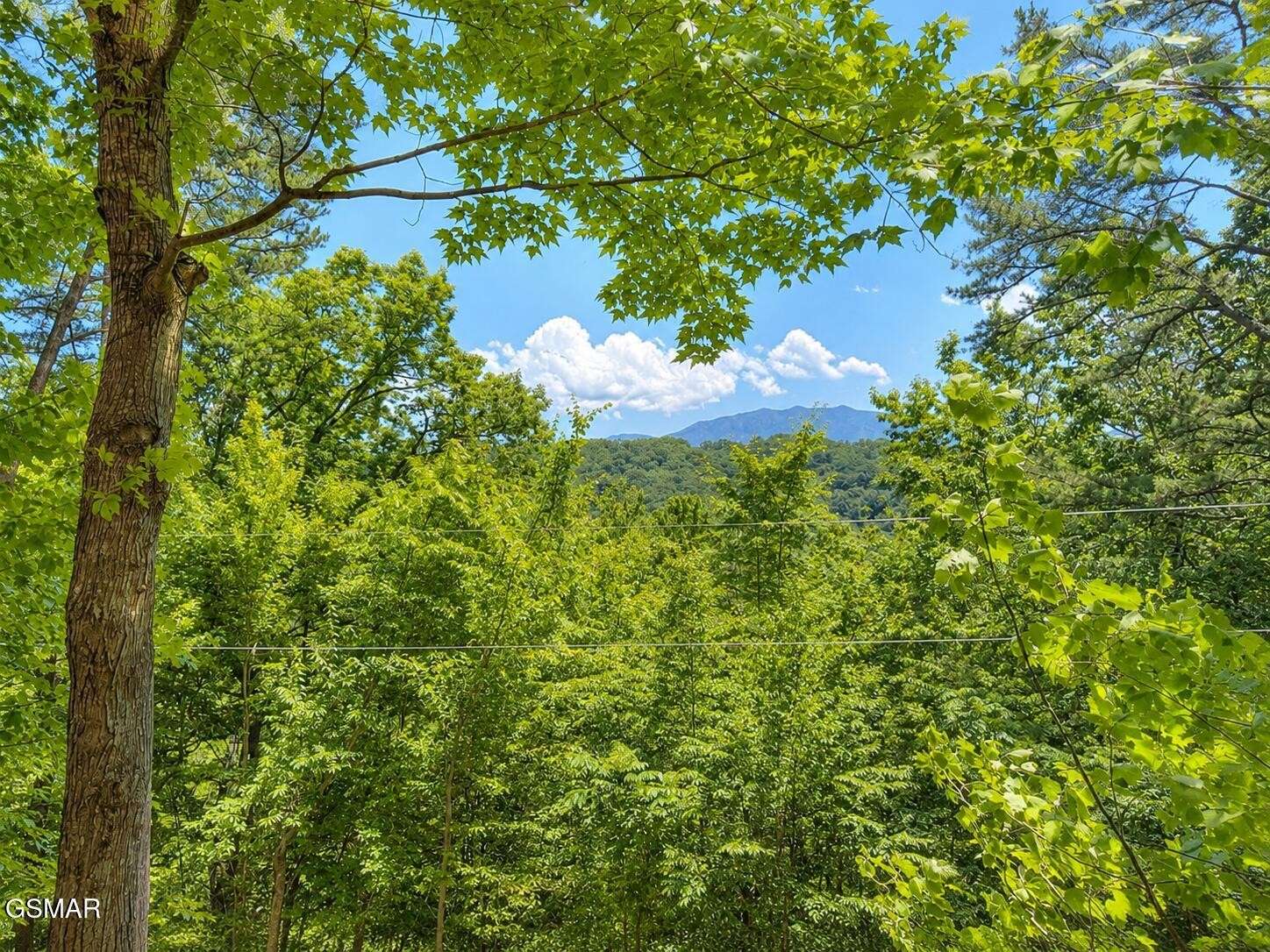 874878 Boone Acres Lane, Pigeon Forge, TN 37863