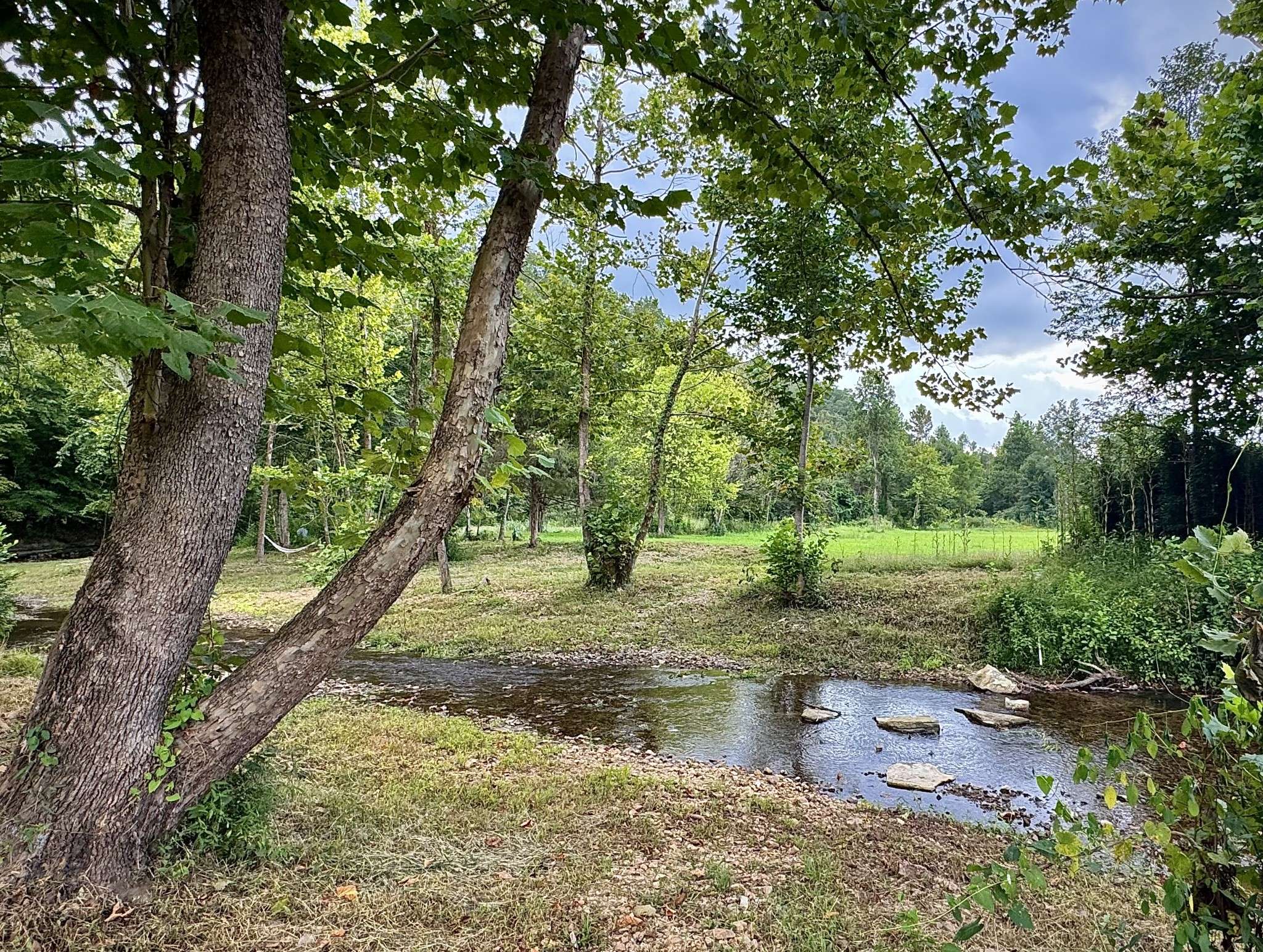 2280 Big Opossum Creek Rd, Linden, TN 37096
