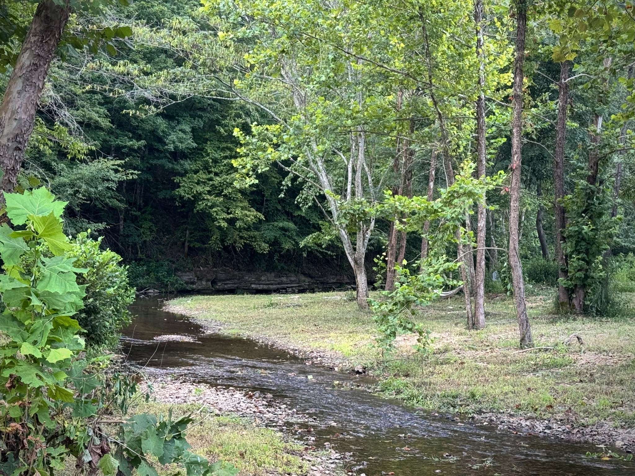 2280 Big Opossum Creek Rd, Linden, TN 37096