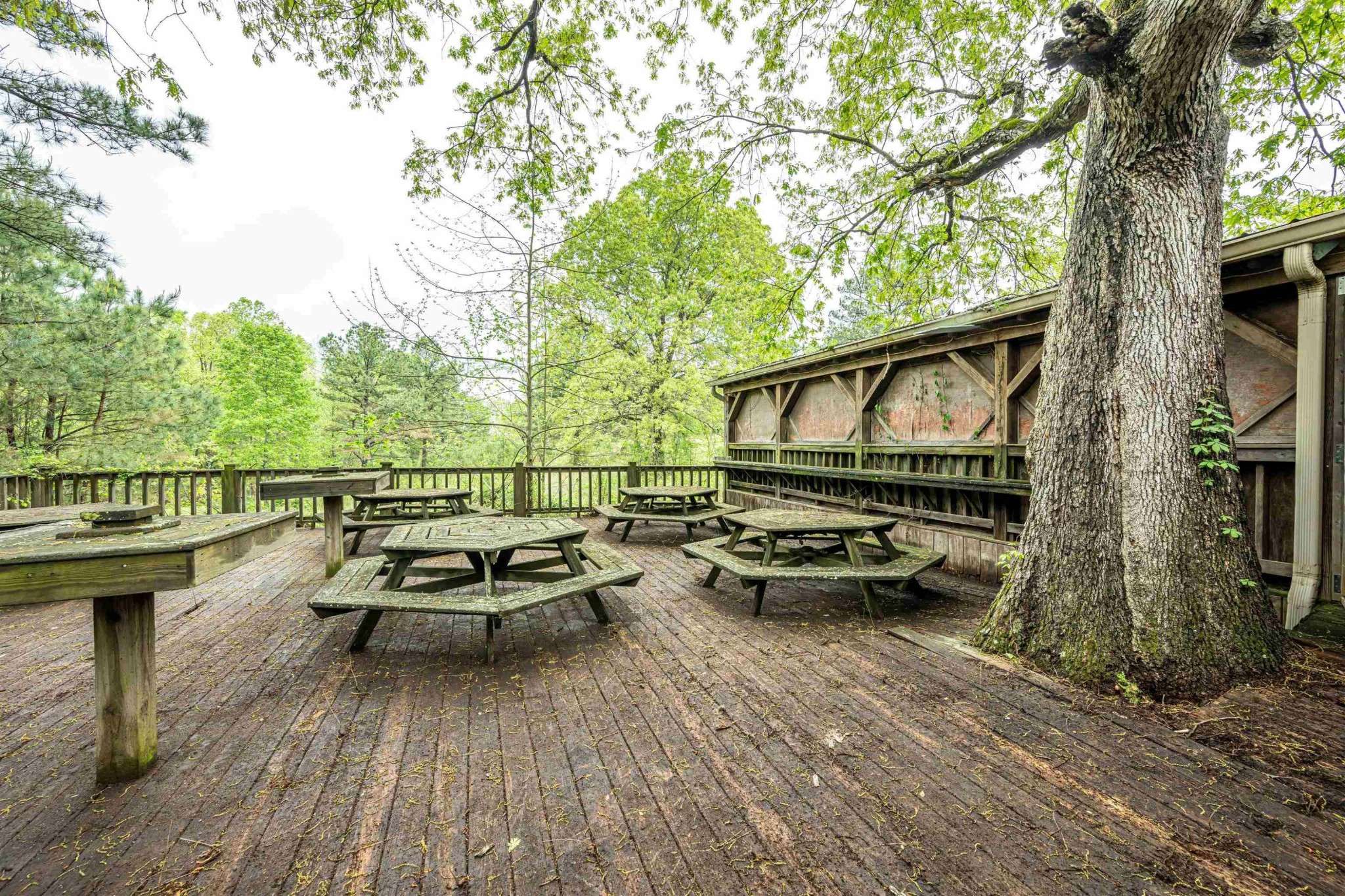 752 Bobs Landing Rd, Bath Springs, TN 38311