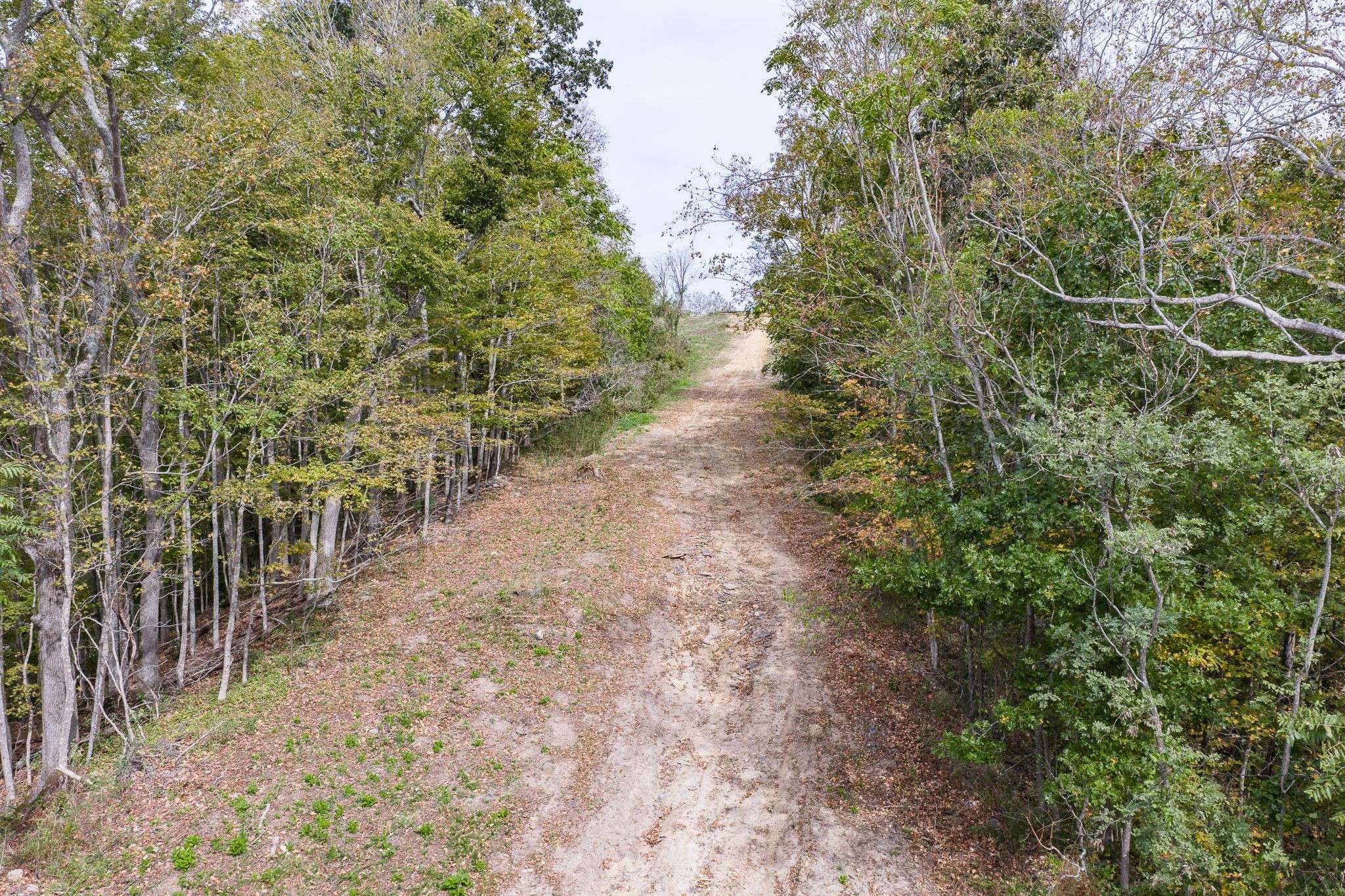 0 Helms Hollow Road, Silver Point, TN 38582
