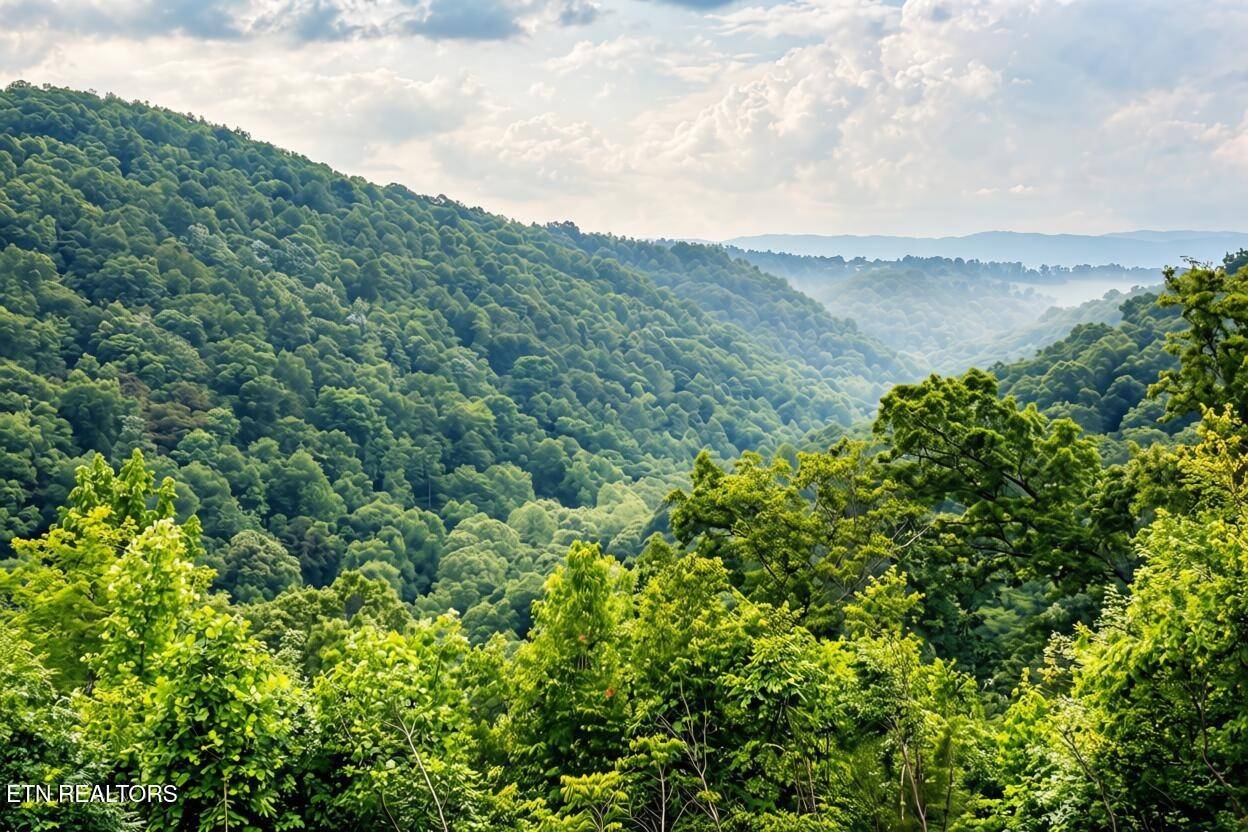 1160 Oak Grove Rd, Harrogate, TN 37752