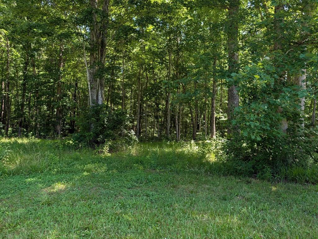 16938 Highway 70 #N, Monterey, TN 38574