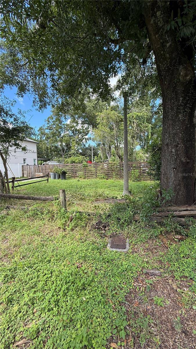 8602 N ROME AVE, Tampa, FL 33604