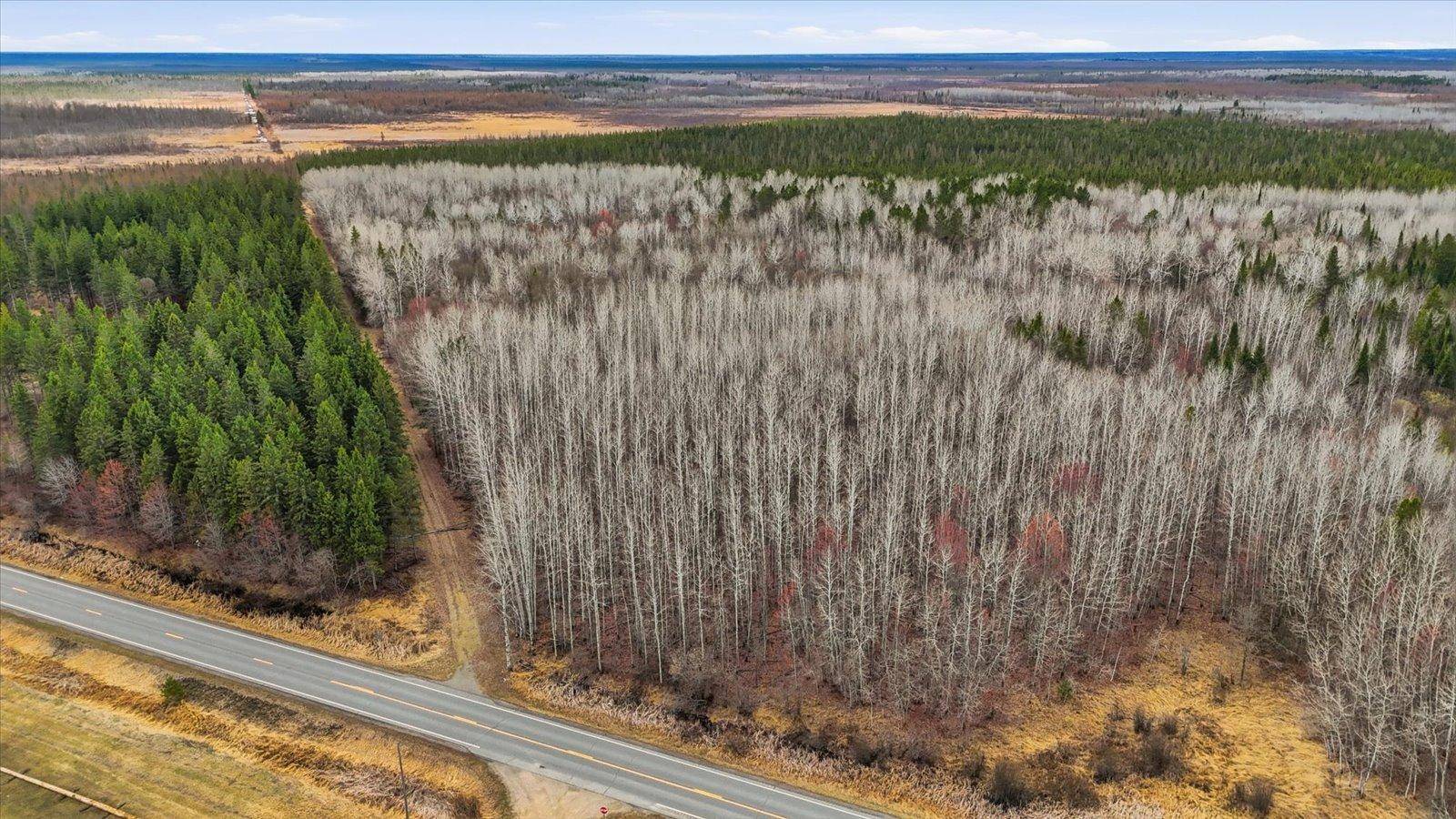 TBD Town Road #55, Big Falls, MN 56627